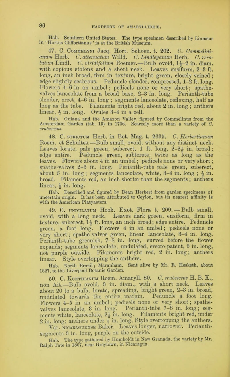 HANDBOOK OF AMARYLLIDE.E. Hab. Southern United States. The type specimen described by Linnaeus in ‘ Hortus Cliffortianus ’ is at the British Museum. 47. C. Commelyni Jacq. Hort. Schoen. t. 202. C. Commelini- anum Herb. C. attenuatum Willd. C. Lindleyanwn Herb. C. revo- lution Lindl. C. viridifolium Roemer.—Bulb ovoid, 1-^—2 in. diam. with copious stolons and a short neck. Leaves ensiform, 2-3 ft. long, an inch broad, firm in texture, bright green, closely veined ; edge slightly scabrous. Peduncle slender, compressed, 1-2 ft. long. Flowers 4-6 in an umbel; pedicels none or very short; spathe- valves lanceolate from a broad base, 2-3 in. long. Perianth-tube slender, erect, 4-6 in. long ; segments lanceolate, reflexing, half as long as the tube. Filaments bright red, about 2 in. long ; anthers linear, 4 in. long. Ovules 3-4 in a cell. Hab. Guiana and the Amazon Valley, figured by Commelinus from the Amsterdam Garden (tab. 15) in 1706. Scarcely more than a variety of G. erubescens. 48. C. strictum Herb, in Bot. Mag. t. 2635. C. Herbevtianum Koem. et Schultes.—Bulb small, ovoid, without any distinct neck. Leaves lorate, pale green, suberect, 1 ft. long, 2-2^ in. broad; edge entire. Peduncle green, subterete, twice as long as the leaves. Flowers about 4 in an umbel; pedicels none or very short; spatlie-valves 2-3 in. long. Perianth-tube pale green, suberect, about 5 in. long; segments lanceolate, white, 3-4 in. long ; § in. broad. Filaments red, an inch shorter than the segments ; anthers linear, ^ in. long. Hab. Described and figured by Dean Herbert from garden specimens of uncertain origin. It has been attributed to Ceylon, but its nearest affinity is with the American Platyasters. 49. C. undulatum Hook. Exot. Flora t. 200. — Bulb small, ovoid, with a long neck. Leaves dark green, ensiform, firm in texture, suberect, 1-| ft. long, an inch broad; edge entire. Peduncle green, a foot long. Flowers 4 in an umbel; pedicels none or very short; spatlie-valves green, linear lanceolate, 3-4 in. long. Perianth-tube greenish, 7-8 in. long, curved before the flower expands; segments lanceolate, undulated, erecto-patent, 3 in. long, not purple outside. Filaments bright red, 2 in. long; anthers linear. Style overtopping the anthers. Hab. North Brazil; Maranham. Sent alive by Mr. R. Hesketh, about 1827, to the Liverpool Botanic Garden. 50. C. Kunthianum Roem. Amaryll. 80. C. erubescens H. B. K., non Ait.—Bulb ovoid, 3 in. diam., with a short neck. Leaves about 20 to a bulb, lorate, spreading, bright green, 2-3 in. broad, undulated towards the entire margin. Peduncle a foot long. Flowers 4-5 in an umbel; pedicels none or very short; spatlie- valves lanceolate, 3 in. long. Perianth-tube 7-8 in. long; seg- ments white, lanceolate, 2| in. long. Filaments bright red, under 2 in. long; anthers under \ in. long, Style overtopping the anthers. Var. nicaraguense Baker. Leaves longer, narrower. Perianth- segments 3 in. long, purple on the outside. Hab. The type gathered by Humboldt in New Granada, the variety by Mr. Ralph Tate in 1867, near Greytown, in Nicaragua.