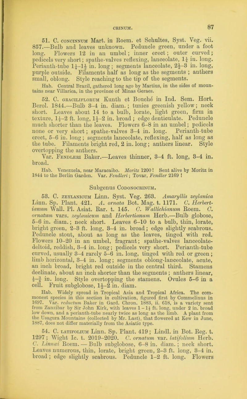 51. C. concinnum Mart, in Roem. et Schultes, Syst. Veg. vii. 857.—Bulb and leaves unknown. Peduncle green, under a foot long. Flowers 12 in an umbel; inner erect; outer curved; pedicels very short; spatlie-valves reflexing, lanceolate, Id in. long. Perianth-tube 1£-1£ in- long ; segments lanceolate, 2^-8 in. long, purple outside. Filaments half as long as the segments ; anthers small, oblong. Style reaching to the tip of the segments. Hab. Central Brazil, gathered long ago by Martius, in the sides of moun- tains near Villarica, in the province of Minas Geraes. 52. C. gracilifloruji Kuntli et Bouche in Ind. Sem. Hort. Berol. 1844.—Bulb 3-4 in. diam. ; tunics greenish yellow; neck short. Leaves about 14 to a bulb, lorate, light green, firm in texture, l£-2 ft. long, l|-2 in. broad ; edge denticulate. Peduncle much shorter than the leaves. Flowers 6-8 in an umbel; pedicels none or very short; spatlie-valves 3-4 in. long. Periantli-tube erect, 5-6 in. long; segments lanceolate, reflexing, half as long as the tube. Filaments bright red, 2 in. long ; anthers linear. Style overtopping the anthers. Yar. Fendleri Baker.—Leaves thinner, 3-4 ft. long, 3-4 in. broad. Hab. Venezuela, near Maracaibo. Moritz 1200! Sent alive by Moritz in 1844 to the Berlin Garden. Var. Fendleri; Tovar, Fendler 2169 ! Subgenus Codonocrinum. 53. C. zeylanicum Linn. Syst. Veg. 263. Amaryllis zeylanica Linn. Sp. Plant. 421. A. ornata Bot. Mag. t. 1171. C. Herbert- ianum Wall. PI. Asiat. Rar. t. 145. C. Wallichianum Roem. C. ornatum vars. zeylanicum and Herbertianum Herb.—Bulb globose, 5-6 in. diam.; neck short. Leaves 6-10 to a bulb, thin, lorate, bright green, 2-3 ft. long, 3-4 in. broad; edge slightly scabrous. Peduncle stout, about as long as the leaves, tinged with red. Flowers 10-20 in an umbel, fragrant; spatlie-valves lanceolate- deltoid, reddish, 3-4 in. long; pedicels very short. Perianth-tube curved, usually 3-4 rarely 5-6 in. long, tinged with red or green; limb horizontal, 3-4 in. long; segments oblong-lanceolate, acute, an inch broad, bright red outside in the central third. Stamens declinate, about an inch shorter than the segments ; anthers linear, i-f in. long. Style overtopping the stamens. Ovules 5-6 in a cell. Fruit subglobose, 1^-2 in. diam. Hab. Widely spread in Tropical Asia and Tropical Africa. The com- monest species in this section in cultivation, figured first by Commelinus in 1697. Var. reduction Baker in Gard. Chron. 1883, ii. 618, is a variety sent from Zanzibar by Sir John Kirk, with leaves 1-lJ ft. long, under 2 in. broad low down, and a perianth-tube nearly twice as long as the limb. A plant from the Usagura Mountains (collected by Mr. Last), that flowered at Kew in June, 1887, does not differ materially from the Asiatic type. 54. C. latifolitjm Linn. Sp. Plant. 419; Lindl. in Bot. Reg. t. 1297 ; Wight Ic. t. 2019-2020. C. ornatum var. latifolium Herb. C. Linncd Roem. — Bulb subglobose, 6-8 in. diam. ; neck short. Leaves numerous, thin, lorate, bright green, 2-3 ft. long, 3-4 in. broad ; edge slightly scabrous. Peduncle 1-2 ft. long. Flowers
