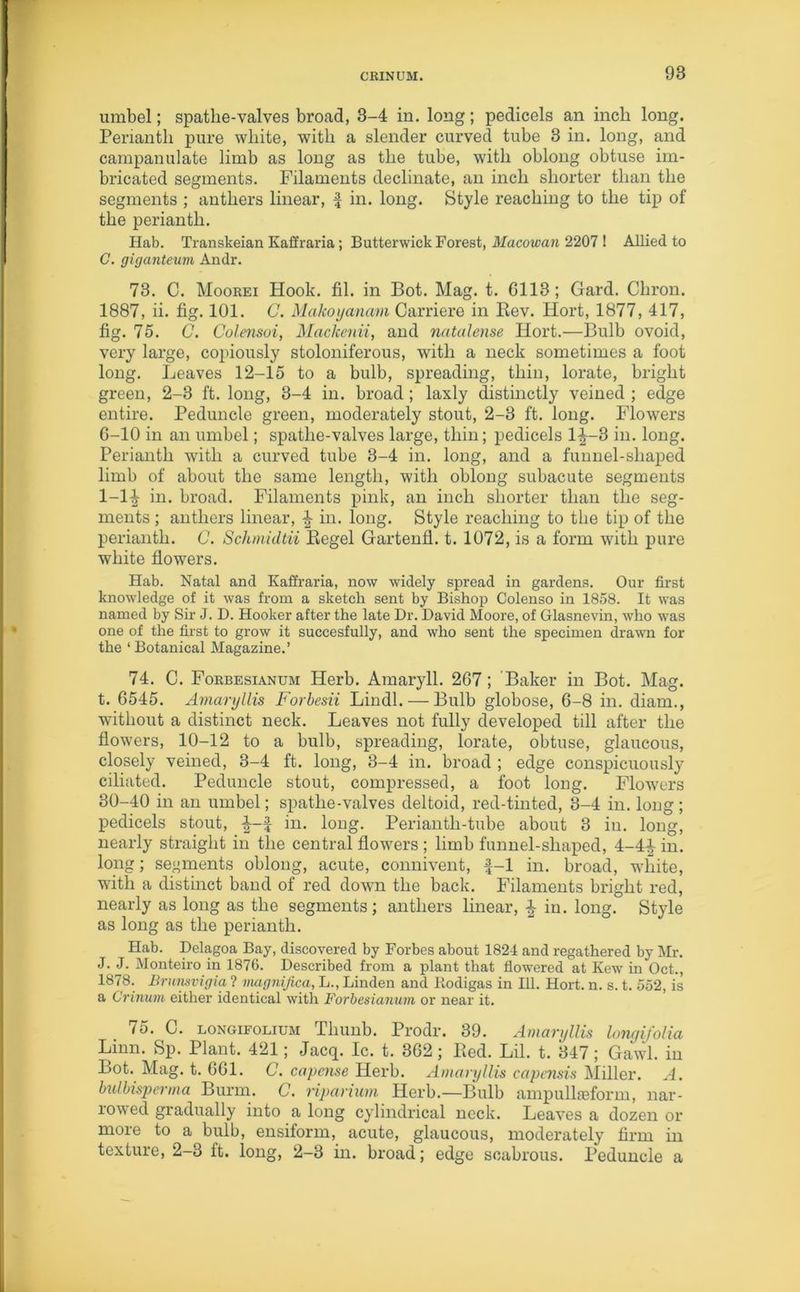 umbel; spatlie-valves broad, 3-4 in. long; pedicels an inch long. Perianth pure white, with a slender curved tube 3 in. long, and campanulate limb as long as the tube, with oblong obtuse im- bricated segments. Filaments decimate, an inch shorter than the segments ; anthers linear, % in. long. Style reaching to the tip of the perianth. Hab. Transkeian Kaffraria; Butterwick Forest, Macowan 2207 ! Allied to C. giganteum Andr. 73. C. Moorei Hook. fil. in Bot. Mag. t. G113; Gard. Chron. 1887, ii. fig. 101. G. Makoyanam Carriere in Bev. Hort, 1877, 417, fig. 75. C. Colensoi, MacJcenii, and natalense Hort.—Bulb ovoid, very large, copiously stoloniferous, with a neck sometimes a foot long. Leaves 12-15 to a bulb, spreading, thin, lorate, bright green, 2-3 ft. long, 3-4 in. broad ; laxly distinctly veined ; edge entire. Peduncle green, moderately stout, 2-3 ft. long. Flowers G-10 in an umbel; spatlie-valves large, thin; pedicels 1^-3 in. long. Perianth with a curved tube 3-4 in. long, and a funnel-shaped limb of about the same length, with oblong subacute segments 1-1^ in. broad. Filaments pink, an inch shorter than the seg- ments ; anthers linear, \ in. long. Style reaching to the tip of the perianth. C. Schmidtii Regel Gartenfl. t. 1072, is a form with pure white flowers. Hab. Natal and Kaffraria, now widely spread in gardens. Our first knowledge of it was from a sketch sent by Bishop Colenso in 1858. It was named by Sir J. D. Hooker after the late Dr. David Moore, of Glasnevin, who was one of the first to grow it succesfully, and who sent the specimen drawn for the ‘ Botanical Magazine.’ 74. C. Forbesianum Herb. Amaryll. 267; Baker in Bot. Mag. t. 6545. Amaryllis Forbesii Hindi. — Bulb globose, 6-8 in. diam., without a distinct neck. Leaves not fully developed till after the flowers, 10-12 to a bulb, spreading, lorate, obtuse, glaucous, closely veined, 3-4 ft. long, 3-4 in. broad ; edge conspicuously ciliated. Peduncle stout, compressed, a foot long. Flowers 30-40 in an umbel; spatlie-valves deltoid, red-tinted, 3-4 in. long ; pedicels stout, i-f in. long. Periantli-tube about 3 in. long, nearly straight in the central flowers ; limb funnel-shaped, 4-4-^ in. long; segments oblong, acute, connivent, f-1 in. broad, white, with a distinct band of red down the back. Filaments bright red, nearly as long as the segments; anthers linear, £ in. long. Style as long as the perianth. Hab. Delagoa Bay, discovered by Forbes about 1824 and regathered by Mr. J. J. Monteiro in 1876. Described from a plant that flowered at Kew in Oct., 1878. Brunsvigia ? magnified, L., Linden and Bodigas in 111. Hort. n. s. t. 552, is a Grinum either identical with Forbesianum or near it. 75. C. LONGIFOLIUM Thunb. Prodr. 39. Amaryllis longifolm Linn. Sp. Plant. 421; Jacq. Ic. t. 362; Red. Lil. t. 347 ; Gawl. in Bot. Mag. t. 661. C. capense Herb. Amaryllis capensis Miller. A. bulbisperma Bunn. C. riparium Herb.—Bulb ampullae form, nar- lowed gradually into a long cylindrical neck. Leaves a dozen or more to a bulb, ensiform, acute, glaucous, moderately firm in texture, 2-3 ft. long, 2-3 in. broad; edge scabrous. Peduncle a