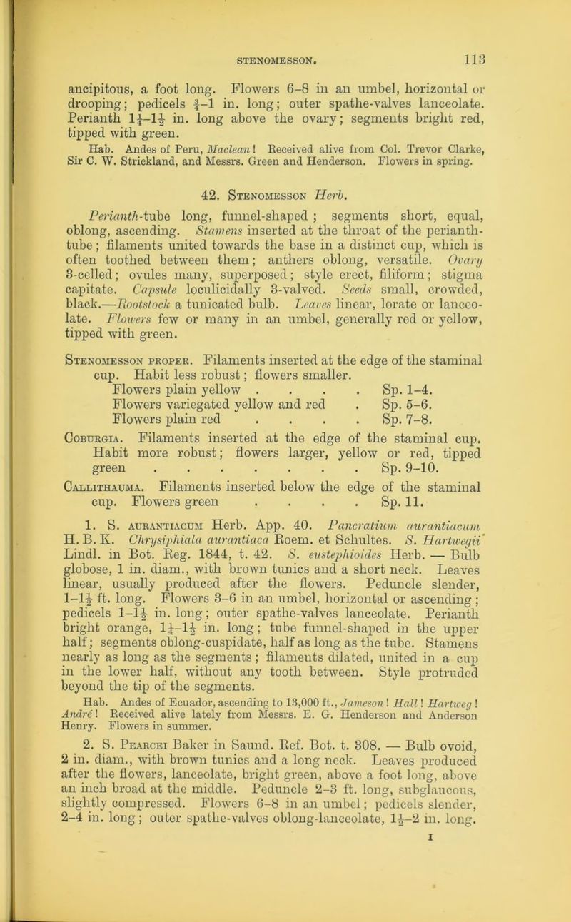 ancipitous, a foot long. Flowers 6-8 in an umbel, horizontal or drooping; pedicels f-1 in. long; outer spathe-valves lanceolate. Perianth 1£-1^ in. long above the ovary; segments bright red, tipped with green. Hab. Andes of Peru, Maclean! Received alive from Col. Trevor Clarke, Sir C. W. Strickland, and Messrs. Green and Henderson. Flowers in spring. 42. Stenomesson Herb. Perianth-tube long, funnel-shaped ; segments short, equal, oblong, ascending. Stamens inserted at the throat of the perianth- tube ; filaments united towards the base in a distinct cup, which is often toothed between them; anthers oblong, versatile. Ovary 3-celled; ovules many, superposed; style erect, filiform; stigma capitate. Capsule loculicidally 3-valved. Seeds small, crowded, black.—Bootstoclc a tunicated bulb. Leaves linear, lorate or lanceo- late. Flowers few or many in an umbel, generally red or yellow, tipped with green. Stenomesson proper. Filaments inserted at the edge of the staminal cup. Habit less robust; flowers smaller. Flowers plain yellow . . . . Sp. 1-4. Flowers variegated yellow and red . Sp. 5-6. Flowers plain red .... Sp. 7-8. Coburgia. Filaments inserted at the edge of the staminal cup. Habit more robust; flowers larger, yellow or red, tipped green Sp. 9-10. Callithauma. Filaments inserted below the edge of the staminal cup. Flowers green .... Sp. 11. 1. S. aurantiacum Herb. App. 40. Pancratium aurantiacum H.B.K. Chrysiphiala aurantiaca Roem. et Schultes. S. Hartwegii Lindl. in Bot. Reg. 1844, t. 42. S. eustephioides Herb. — Bulb globose, 1 in. diam., with brown tunics and a short neck. Leaves linear, usually produced after the flowers. Peduncle slender, 1- 1£ ft. long. Flowers 3-6 in an umbel, horizontal or ascending ; pedicels 1-1^ in. long; outer spathe-valves lanceolate. Perianth bright orange, l£-l£ in. long ; tube funnel-shaped in the upper half; segments oblong-cuspidate, half as long as the tube. Stamens nearly as long as the segments; filaments dilated, united in a cup in the lower half, without any tooth between. Style protruded beyond the tip of the segments. Hab. Andes of Ecuador, ascending to 13,000 ft., Jameson! Hall! Hartweg! Andre! Received alive lately from Messrs. E. G. Henderson and Anderson Henry. Flowers in summer. 2. S. Pearcei Baker in Saund. Ref. Bot. t. 308. — Bulb ovoid, 2 in. diam., with brown tunics and a long neck. Leaves produced after the flowers, lanceolate, bright green, above a foot long, above an inch broad at the middle. Peduncle 2-3 ft. long, subglaucous, slightly compressed. Flowers 6-8 in an umbel; pedicels slender, 2- 4 in. long; outer spathe-valves oblong-lanceolate, l£-2 in. long. i