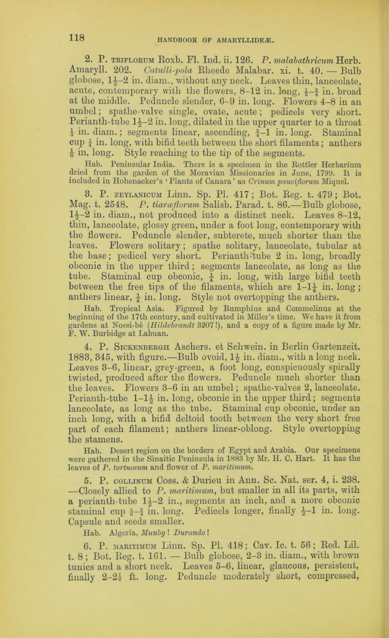 2. P. triflorum Roxb. FI. Ind. ii. 126. P. malabathricum Herb. Amaryll. 202. Catulli-pola Rlieede Malabar, xi. t. 40. — Bulb globose, 1^-2 in. diam., without any neck. Leaves tliin, lanceolate, acute, contemporary with the flowers, 8-12 in. long, in. broad at the middle. Peduncle slender, 6-9 in. long. Flowers 4-8 in an umbel; spathe-valve single, ovate, acute; pedicels very short. Perianth-tube 1^-2 in. long, dilated in the upper quarter to a throat 4 in. diam. ; segments linear, ascending, f-1 in. long. Staminal cup £ in. long, with bifid teeth between the short filaments ; anthers i in. long. Style reaching to the tip of the segments. Hab. Peninsular India. There is a specimen in the Bottler Herbarium dried from the garden of the Moravian Missionaries in June, 1799. It is included in Hohenaclcer’s ‘ Plants of Canara’ as Crinum paucifiorum Miquel. 8. P. zeylanicum Linn. Sp. PI. 417 ; Bot. Reg. t. 479; Bot. Mag. t. 2548. P. tiaraflorum Salisb. Parad. t. 86.— Bulb globose, 1^-2 in. diam., not produced into a distinct neck. Leaves 8-12, thin, lanceolate, glossy green, under a foot long, contemporary with the flowers. Peduncle slender, subterete, much shorter than the leaves. Flowers solitary; spathe solitary, lanceolate, tubular at the base; pedicel very short. Periantli-tube 2 in. long, broadly obconic in the upper third; segments lanceolate, as long as the tube. Staminal cup obconic, J in. long, with large bifid teeth between the free tips of the filaments, which are 1-1J in. long ; anthers linear, J in. long. Style not overtopping the anthers. Hab. Tropical Asia. Figured by Rumphius and Commelinus at the beginning of the 17th century, and cultivated in Miller’s time. We have it from gardens at Nossi-be (Hilclebrandt 3207!), and a copy of a figure made by Mr. F. W. Burbidge at Labuan. 4. P. Sickenbergii Ascliers. et Scliwein. in Berlin Gartenzeit. 1888, 345, with figure.—Bulb ovoid, in. diam., with a long neck. Leaves 3-6, linear, grey-green, a foot long, conspicuously spirally twisted, produced after the flowers. Peduncle much shorter than the leaves. Flowers 3-6 in an umbel; spatlie-valves 2, lanceolate. Perianth-tube 1-1| in. long, obconic in the upper third; segments lanceolate, as long as the tube. Staminal cup obconic, under an inch long, with a bifid deltoid tooth between the very short free part of each filament; anthers linear-oblong. Style overtopping the stamens. Hab. Desert region on the borders of Egypt and Arabia. Our specimens were gathered in the Sinaitic Peninsula in 1883 by Mr. H. C. Hart. It has the leaves of P. tortuosum and flower of P. maritimum. 5. P. collinum Coss. & Durieu in Ann. Sc. Nat. ser. 4, i. 238. —Closely allied to P. maritimum, but smaller in all its parts, with a periantli-tube 1^-2 in., segments an inch, and a more obconic staminal cup £-£ in. long. Pedicels longer, finally £-1 in. long. Capsule and seeds smaller. Hab. Algeria, Muriby ! Duranclo! 6. P. maritimum Linn. Sp. PI. 418; Cav. Ic. t. 56; Red. Lil. t. 8 ; Bot. Reg. t. 161. — Bulb globose, 2-3 in. diam., with brown tunics and a short neck. Leaves 5-6, linear, glaucous, persistent, finally 2-24 ft. long. Peduncle moderately short, compressed,