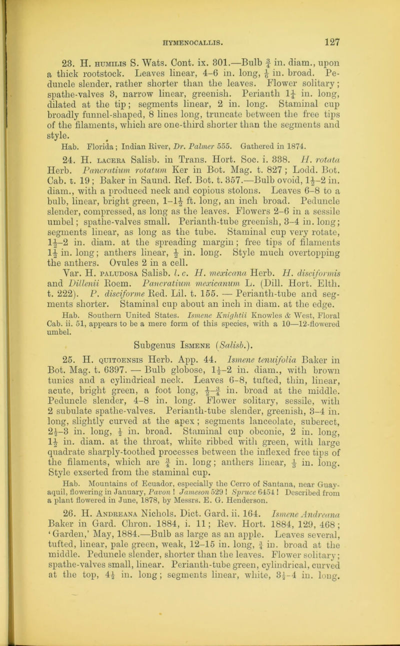 23. H. humilis S. Wats. Cont. ix. 301.—Bulb f in. diam., upon a thick rootstock. Leaves linear, 4-6 in. long, f in. broad. Pe- duncle slender, rather shorter than the leaves. Flower solitary; spatlie-valves 3, narrow linear, greenish. Perianth If in. long, dilated at the tip; segments linear, 2 in. long. Staminal cup broadly funnel-shaped, 8 lines long, truncate between the free tips of the filaments, which are one-tliird shorter than the segments and style. Hab. Florida; Indian Biver, Dr. Palmer 555. Gathered in 1874. 24. H. lacera Salisb. in Trans. Hort. Soc. i. 338. H. rotata Herb. Pancratium rotatum Ker in Bot. Mag. t. 827 ; Lodd. Bot. Cab. t. 19 ; Baker in Saund. Bef. Bot. t. 357.—Bulb ovoid, If-2 in. diam., with a produced neck and copious stolons. Leaves 6-8 to a bulb, linear, bright green, 1-lf ft. long, an inch broad. Peduncle slender, compressed, as long as the leaves. Flowers 2-6 in a sessile umbel; spatlie-valves small. Periantli-tube greenish, 3-4 in. long; segments linear, as long as the tube. Staminal cup very rotate, lf-2 in. diam. at the spreading margin; free tips of filaments If in. long; anthers linear, f in. long. Style much overtopping the anthers. Ovules 2 in a cell. Yar. H. paludosa Salisb. /. c. H. mexicana Herb. 11. disciformzs and Dillenii Roem. Pancratium mexicanum L. (Dill. Hort. Eltli. t. 222). P. disciforme Red. Lil. t. 155. — Perianth-tube and seg- ments shorter. Staminal cup about an inch in diam. at the edge. Hab. Southern United States. Ismene Knightii Knowles & West, Floral Cab. ii. 51, appears to be a mere form of this species, with a 10—12-flowered umbel. Subgenus Ismene (Salisb.). 25. H. quitoensis Herb. App. 44. Ismene tenuifolia Baker in Bot. Mag. t. 6397. — Bulb globose, lf-2 in. diam., with brown tunics and a cylindrical neck. Leaves 6-8, tufted, thin, linear, acute, bright green, a foot long, f-f in. broad at the middle. Peduncle slender, 4-8 in. long. Flower solitary, sessile, with 2 subulate spatlie-valves. Perianth-tube slender, greenish, 3-4 in. long, slightly curved at the apex ; segments lanceolate, suberect, 24-3 in. long, f in. broad. Staminal cup obconic, 2 in. long, If in. diam. at the throat, white ribbed with green, with large quadrate sharply-toothed processes between the indexed free tips of the filaments, which are f in. long; anthers linear, f in. long. Style exserted from the staminal cup. Hab. Mountains of Ecuador, especially the Cerro of Santana, near Guay- aquil, flowering in January, Pavon ! Jameson 529 1 Spruce 6454 ! Described from a plant flowered in June, 1878, by Messrs. E. G. Henderson. 26. H. Andreana Nichols. Diet. Gard. ii. 164. Ismene Andreana Baker in Gard. Cliron. 1884, i. 11; Rev. Hort. 1884, 129,468; ‘Garden,’ May, 1884.—Bulb as large as an apple. Leaves several, tufted, linear, pale green, weak, 12-15 in. long, £ in. broad at the middle. Peduncle slender, shorter than the leaves. Flower solitary; spatlie-valves small, linear. Perianth-tube green, cylindrical, curved at the top, 44 in. long; segments linear, white, 3^-4 in. long.