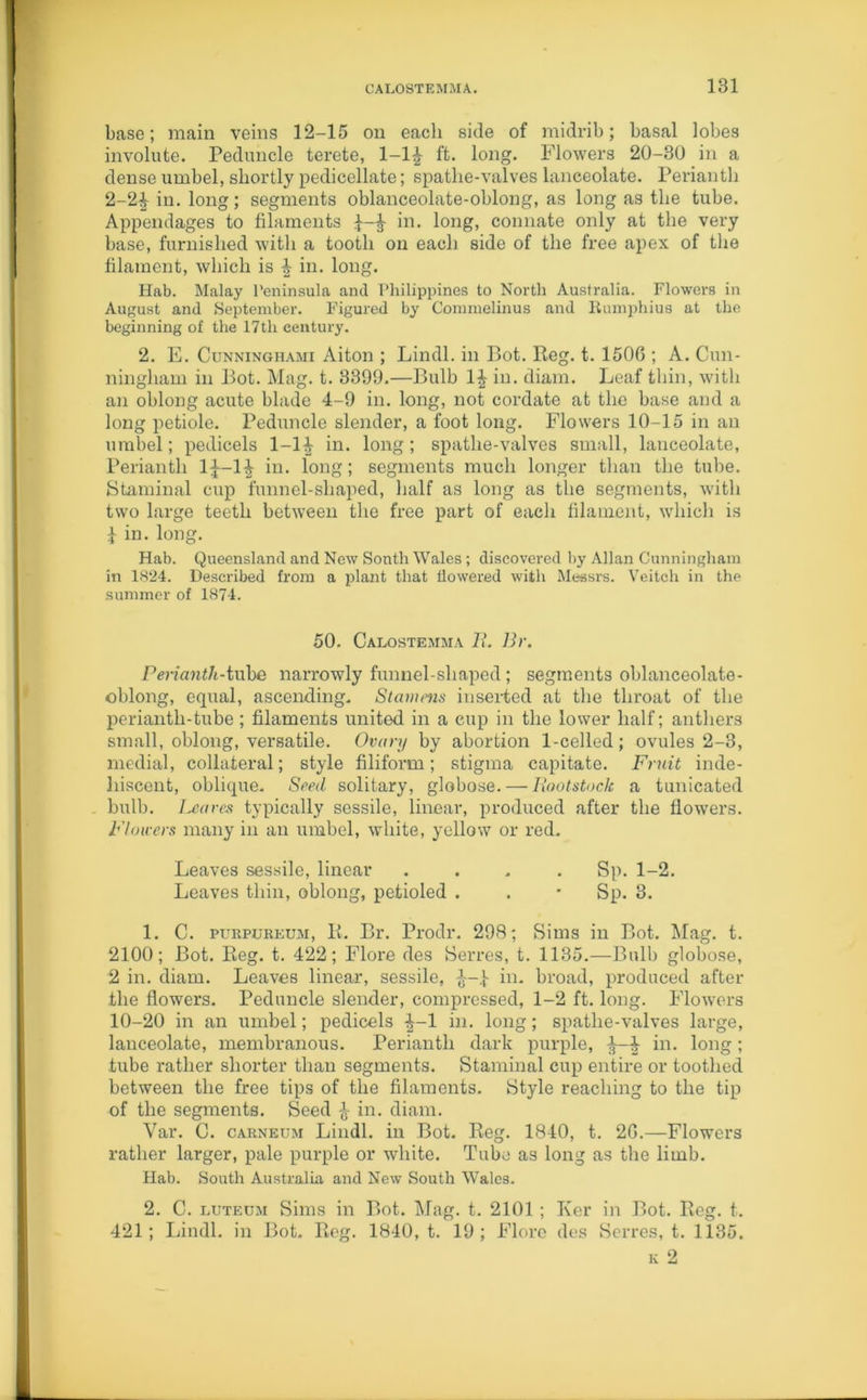 base; main veins 12-15 on each side of midrib; basal lobes involute. Peduncle terete, 1-1£ ft. long. Flowers 20-30 in a dense umbel, shortly pedicellate; spathe-valves lanceolate. Perianth 2-2£ in. long; segments oblanceolate-oblong, as long as the tube. Appendages to filaments in. long, connate only at the very base, furnished with a tooth on each side of the free apex of the filament, which is \ in. long. Hab. Malay Peninsula and Philippines to North Australia. Flowers in August and September. Figured by Commelinus and Kumphius at the beginning of the 17th century. 2. E. Cunninghami Aiton ; Lindl. in Bot. Reg. t. 1506 ; A. Cun- ningham in Bot. Mag. t. 3399.—Bulb 1\ in. diam. Leaf thin, with an oblong acute blade 4-9 in. long, not cordate at the base and a long petiole. Peduncle slender, a foot long. Flowers 10-15 in an umbel; pedicels 1-1^ in. long ; spathe-valves small, lanceolate, Perianth 1^-1^ in. long; segments much longer than the tube. Staminal cup funnel-shaped, half as long as the segments, with two large teeth between the free part of each filament, which is 1 in. long. Hab. Queensland and New South Wales ; discovered by Allan Cunningham in 1824. Described from a plant that flowered with Messrs. Veitch in the summer of 1874. 50. Calostemjia Zi. Br. Perianth-tube narrowly funnel-shaped; segments oblanceolate- oblong, equal, ascending. Stamens inserted at the throat of the perianth-tube ; filaments united in a cup in the lower half; anthers small, oblong, versatile. Ovary by abortion 1-celled; ovules 2-3, medial, collateral; style filiform; stigma capitate. Fruit inde- liiscent, oblique. Seed solitary, globose. — Rootstock a tunicated . bulb. Leaves typically sessile, linear, produced after the flowers. FI,oners many in an umbel, white, yellow or red. Leaves sessile, linear .... Sp. 1-2. Leaves thin, oblong, petioled . . • Sp. 3. 1. C. purpureuai, K. Br. Prodr. 298; Sims in Bot. Mag. t. 2100; Bot. Reg. t. 422; Flore des Serres, t. 1135.—Bulb globose, 2 in. diam. Leaves linear, sessile, in. broad, produced after the flowers. Peduncle slender, compressed, 1-2 ft. long. Flowers 10-20 in an umbel; pedicels -|-1 in. long; spathe-valves large, lanceolate, membranous. Perianth dark purple, § in. long ; tube rather shorter than segments. Staminal cup entire or toothed between the free tips of the filaments. Style reaching to the tip of the segments. Seed £ in. diam. Var. G. carneum Lindl. in Bot. Reg. 1840, t. 26.—Flowers rather larger, pale purple or white. Tube as long as the limb. Hab. South Australia and New South Wales. 2. C. luteum Sims in Bot. Mag. t. 2101; Ker in Bot. Reg. t. 421; Lindl. in Bot. Reg. 1840, t. 19 ; Flore des Serres, t. 1135.