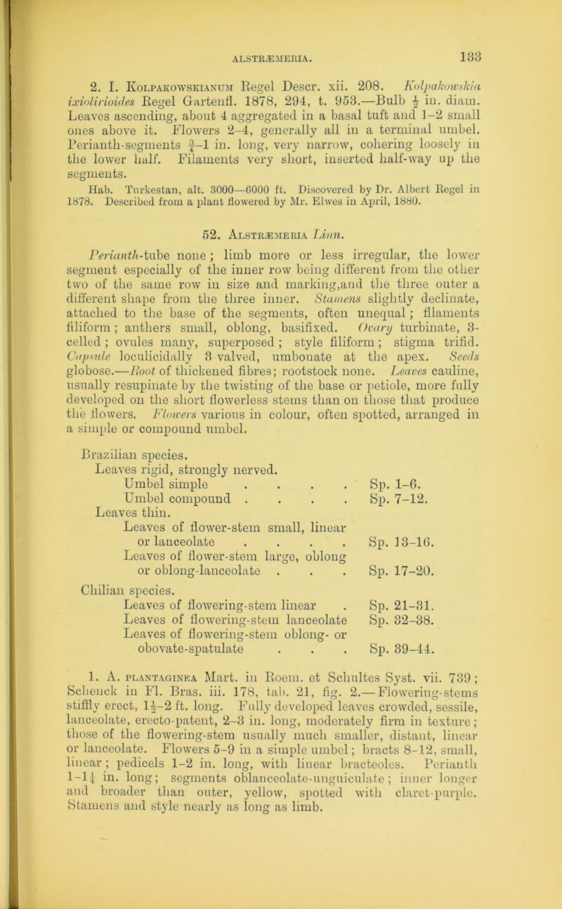2. I. Kolpakowskianum Regel Descr. xii. 208. Kolpakowslcia ixiolirioides Regel Gartenfl. 1878, 294, t. 953.—Bulb 4 in. diam. Leaves ascending, about 4 aggregated in a basal tuft and 1-2 small ones above it. Flowers 2-4, generally all in a terminal umbel. Reriantli-segments f-1 in. long, very narrow, cohering loosely in the lower half. Filaments very short, inserted half-way up the segments. Hab. Turkestan, alt. 3000—0000 ft. Discovered by Dr. Albert Kegel in 1878. Described from a plant flowered by Mr. Elwes in April, 1880. 52. Alstra:meria Linn. Perianth-tube none ; limb more or less irregular, the lower segment especially of the inner row being different from the other two of the same row in size and marking,and the three outer a different shape from the three inner. Stamens slightly decimate, attached to the base of the segments, often unequal; filaments filiform; anthers small, oblong, basifixed. Ovary turbinate, 3- celled ; ovules many, superposed ; style filiform ; stigma trifid. Capsule loculicidally 3 valved, umbonate at the apex. Seeds globose.—Hoot of thickened fibres; rootstock none. Leaves cauline, usually resupinate by the twisting of the base or petiole, more fully developed on the short flowerless stems than on those that produce the flowers. Flowers various in colour, often spotted, arranged in a simple or compound umbel. Brazilian species. Leaves rigid, strongly nerved. Umbel simple .... Sp. 1-6. Umbel compound .... Sp. 7-12. Leaves thin. Leaves of flower-stem small, linear or lanceolate .... Sp. 13-16. Leaves of flower-stem large, oblong or oblong-lanceolate Sp. 17-20. Chilian species. Leaves of flowering-stem linear Sp. 21-31. Leaves of flowering-stem lanceolate Sp. 32-38. Leaves of flowering-stem oblong- or obovate-spatulate Sp. 39-44. 1. A. plantaginea Mart, in Roem. et Schultes Syst. vii. 739; Schenck in FI. Bras. iii. 178, tab. 21, fig. 2.— Flowering-stems stiffly erect, 14-2 ft. long. Fully developed leaves crowded, sessile, lanceolate, erecto-patent, 2-3 in. long, moderately firm in texture; those of the flowering-stem usually much smaller, distant, linear or lanceolate. Flowers 5-9 in a simple umbel; bracts 8-12, small, linear ; pedicels 1-2 in. long, with linear bracteoles. Perianth 1-11 in. long; segments oblanceolate-unguiculate ; inner longer and broader than outer, yellow, spotted with claret-purple. Stamens and style nearly as long as limb.