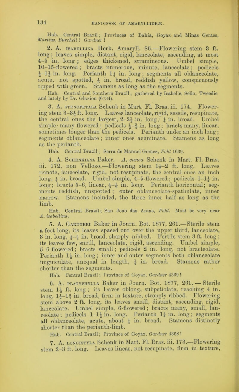 Hub. Central Brazil; Provinces of Bahia, Goyaz and Minas Geraes, Martius, Burchell! Gardner ! 2. A. isabellina Herb. Amaryll. 86.—Flowering stem 3 ft. long; leaves simple, distant, rigid, lanceolate, ascending, at most 4-5 in. long ; edges thickened, stramineous. Umbel simple, 10-15-flowered; bracts numerous, minute, lanceolate; pedicels ^-14 in. long. Perianth 1£ in. long; segments all oblanceolate, acute, not spotted, £ in. broad, reddish yellow, conspicuously tipped with green. Stamens as long as the segments. Hab. Central and Southern Brazil; gathered by Isabelle, Sello, Tweedie and lately by Dr. Glaziou (6734). 3. A. stenopetala Schenk in Mart. FI. Bras. iii. 174. Flower- ing stem 3-3i ft. long. Leaves lanceolate, rigid, sessile, resupinate, the central ones the largest, 2-2£ in. long; Jin. broad. Umbel simple,-many-flowered ; pedicels £ in. long; bracts many, linear, sometimes longer than the pedicels. Perianth under an inch long; segments oblanceolate ; inner ones acuminate. Stamens as long as the perianth. Hab. Central Brazil; Serra de Manuel Gomez, Pohl 1639. 4. A. Schenkiana Baker. A. cunea Schenk in Mart. FI. Bras, iii. 172, non Yellozo.—Flowering stem 1^-2 ft. long. Leaves remote, lanceolate, rigid, not resupinate, the central ones an inch long, £ in. broad. Umbel simple, 4-5-fiowered; pedicels 1--1J-in. long; bracts 5-G, linear, \ in. long. Perianth horizontal; seg- ments reddish, unspotted ; outer oblanceolate-spatlmlate, inner narrow. Stamens included, the three inner half as long as the limb. Hab. Central Brazil; San Joao das Antas, Pohl. Must be very near A. isabellina. 5. A. Gardneri Baker in Journ. Bot. 1877, 261.—Sterile stem a foot long, its leaves spaced out over the upper third, lanceolate, 3 in. long, J-f in. broad, sharply nibbed. Fertile stem 3 ft. long ; its leaves few, small, lanceolate, rigid, ascending. Umbel simple, 5-G-fiowered; bracts small; pedicels 2 in. long, not bracteolate. Perianth 1|- in. long; inner and outer segments both oblanceolate unguiculate, unequal in length, £ in. broad. Stamens rather shorter than the segments. Hab. Central Brazil; Province of Goyaz, Gardner 4369! 6. A. platyphylla Baker in Journ. Bot. 1877, 261. — Sterile stem 1J ft. long; its leaves oblong, subpetiolate, reaching 4 in. long, lj-lf in. broad, firm in texture, strongly ribbed. Flowering stem above 2 ft. long, its leaves small, distant, ascending, rigid, lanceolate. Umbel simple, 6-flowered; bracts many, small, lan- ceolate; pedicels 1-1£ in. long. Perianth If in. long; segments all oblanceolate, acute, about J in. broad. Stamens distinctly shorter than the perianth-limb. Hab. Central Brazil; Province of Goyaz, Gardner 4368 ! 7. A. longistyla Schenk in Mart. FI. Bras. iii. 173.—Flowering stem 2-3 ft. long. Leaves linear, not resupinate, firm in texture,