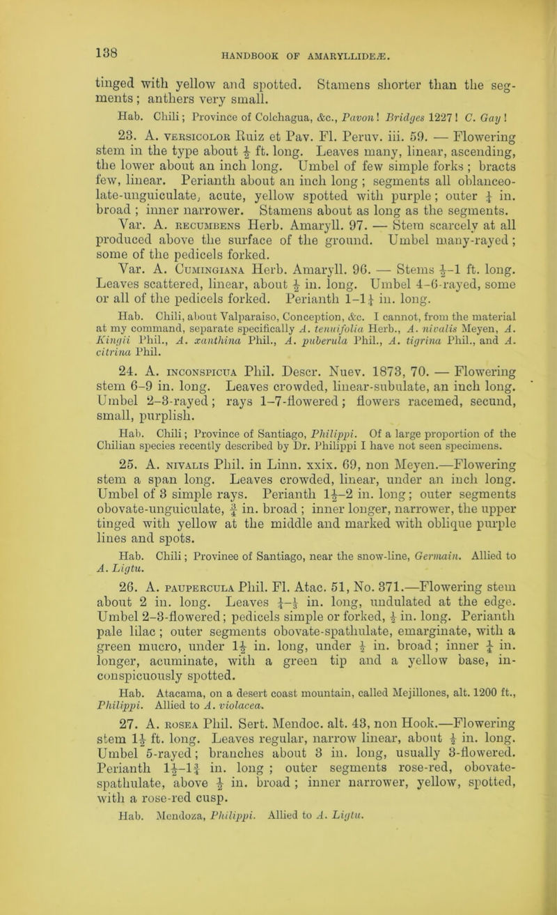 tinged with yellow and spotted. Stamens shorter than the seg- ments ; anthers very small. Hab. Chili; Province of Colchagua, etc., Pavon! Bridges 1227 ! C. Gay ! 23. A. versicolor Ruiz et Pav. FI. Peruv. iii. 59. — Flowering stem in the type about £ ft. long. Leaves many, linear, ascending, the lower about an inch long. Umbel of few simple forks ; bracts few, linear. Perianth about an inch long ; segments all oblanceo- late-unguiculate, acute, yellow spotted with purple; outer £ in. broad ; inner narrower. Stamens about as long as the segments. Var. A. recumbens Herb. Amaryll. 97. — Stem scarcely at all produced above the surface of the ground. Umbel many-rayed; some of the pedicels forked. Var. A. Cumingiana Herb. Amaryll. 9G. — Stems i-l ft. long. Leaves scattered, linear, about £ in. long. Umbel 4-6-rayed, some or all of the pedicels forked. Perianth 1-1 j in. long. Hab. Chili, about Valparaiso, Conception, &c. I cannot, from the material at my command, separate specifically A. tenuifolia Herb., A. nivalis Meyen, A. Kingii Phil., A. xanthina Phil., A. puberula Phil., A. tigrina Phil., and A. citrina Phil. 24. A. inconspicua Phil. Descr. Nuev. 1873, 70. — Flowering stem 6-9 in. long. Leaves crowded, linear-subulate, an inch long. Umbel 2-3-rayed; rays 1-7-fiowered; flowers racemed, secund, small, purplish. Hab. Chili; Province of Santiago, Philippi. Of a large proportion of the Chilian species recently described by l)r. Philippi I have not seen specimens. 25. A. nivalis Phil, in Linn. xxix. 69, non Meyen.—Flowering stem a span long. Leaves crowded, linear, under an inch long. Umbel of 3 simple rays. Perianth 1-|—2 in. long; outer segments obovate-unguiculate, f in. broad ; inner longer, narrower, the upper tinged with yellow at the middle and marked with oblique purple lines and spots. Hab. Chili; Province of Santiago, near the snow-line, Germain. Allied to A. Ligtu. 26. A. paupercula Phil. FI. Atac. 51, No. 371.—Flowering stem about 2 in. long. Leaves £-4 in. long, undulated at the edge. Umbel 2-3-flowered; pedicels simple or forked, £ in. long. Perianth pale lilac; outer segments obovate-spatliulate, emarginate, with a green mucro, under 1^ in. long, under £ in. broad; inner J in. longer, acuminate, with a green tip and a yellow base, in- conspicuously spotted. Hab. Atacama, on a desert coast mountain, called Mejillones, alt. 1200 ft., Philippi. Allied to A. violacea. 27. A. rosea Phil. Sert. Mendoc. alt. 43, non Hook.—Flowering stem 14- ft. long. Leaves regular, narrow linear, about 4 in. long. Umbel 5-rayed; branches about 3 in. long, usually 3-flowered. Perianth 1^-1 j in. long ; outer segments rose-red, obovate- spathulate, above % in. broad ; inner narrower, yellow, spotted, with a rose-red cusp. Hab. Mendoza, Philippi. Allied to A. Ligtu.
