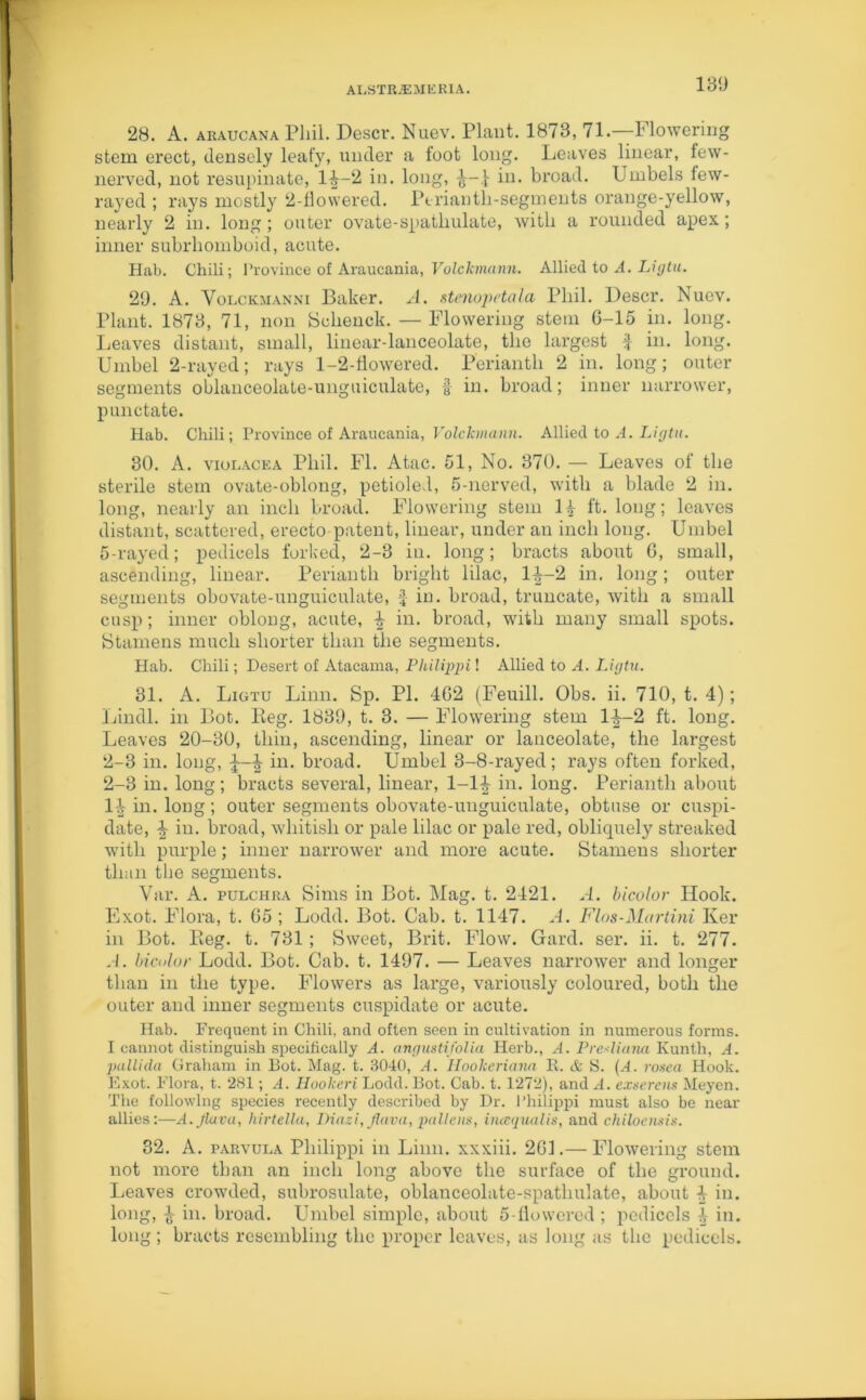 189 28. A. araucana Phil. Descr. Nuev. Plant. 1873, 71.—Flowering stem erect, densely leafy, under a foot long. Leaves linear, few- nerved, not resupinate, 1^-2 in. long, in. broad. Umbels few- rayed ; rays mostly 2-flowered. Ptriantb-segments orange-yellow, nearly 2 in. long; outer ovate-spathulate, with a rounded apex; inner subrbomboid, acute. Hah. Chili; Province of Araucania, Volckmann. Allied to A. Lujtu. 29. A. Volckmanni Baker. A. stenupetala Pliil. Descr. Nuev. Plant. 1873, 71, non Schenck. — Flowering stem 6-15 in. long. Leaves distant, small, linear-lanceolate, the largest f in. long. Umbel 2-rayed; rays 1-2-fiowered. Perianth 2 in. long; outer segments oblanceolate-unguiculate, f in. broad; inner narrower, punctate. Hab. Chili; Province of Araucania, Volckmann. Allied to A. Licjtu. 30. A. violacea Pliil. FI. Atac. 51, No. 370. — Leaves of the sterile stem ovate-oblong, petioled, 5-nerved, with a blade 2 in. long, nearly an inch broad. Flowering stem ft. long; leaves distant, scattered, erecto patent, linear, under an inch long. Umbel 5-rayed; pedicels forked, 2-3 in. long; bracts about 6, small, ascending, linear. Perianth bright lilac, 1|—2 in. long; outer segments obovate-unguiculate, £ in. broad, truncate, with a small cusp; inner oblong, acute, \ in. broad, with many small spots. Stamens much shorter than the segments. Hab. Chili; Desert of Atacama, Philippi! Allied to A. Liptu. 31. A. Ligtu Linn. Sp. PI. 462 (Feuill. Obs. ii. 710, t. 4); Lindl. in Bot. Keg. 1839, t. 3. — Flowering stem 1^-2 ft. long. Leaves 20-30, thin, ascending, linear or lanceolate, the largest 2-3 in. long, £ in. broad. Umbel 3-8-rayed; rays often forked, 2-3 in. long; bracts several, linear, 1-1£ in. long. Perianth about 1^ in. long; outer segments obovate-unguiculate, obtuse or cuspi- date, % in. broad, whitish or pale lilac or pale red, obliquely streaked with purple; inner narrower and more acute. Stamens shorter than the segments. Yar. A. pulchra Sims in Bot. Mag. t. 2421. A. bicolor Hook. Exot. Flora, t. 65 ; Lodd. Bot. Cab. t. 1147. A. Flos-Martini Ker in Bot. Reg. t. 731 ; Sweet, Brit. Flow. Gard. ser. ii. t. 277. A. bicolor Lodd. Bot. Cab. t. 1497. — Leaves narrower and longer than in the type. Flowers as large, variously coloured, both the outer and inner segments cuspidate or acute. Hab. Frequent in Chili, and often seen in cultivation in numerous forms. I cannot distinguish specifically A. angustifolia Herb., A. P re'liana Kunth, A. pallida Graham in Bot. Mag. t. 3040, A. Hookeriaiia R. & S. (A. rosea Hook. Exot. Flora, t. 281; A. Hookeri Lodd. Bot. Cab. t. 1272), and A. exserens Meyen. The following species recently described by Dr. Philippi must also be near allies:—A.Jlava, hirtella, Diazi, Jlava, pollens, incequalis, and chiloensis. 32. A. parvula Philippi in Linn, xxxiii. 261.— Flowering stem not more than an inch long above the surface of the ground. Leaves crowded, subrosulate, oblanceolate-spatlmlate, about 4 in. long, jr in. broad. Umbel simple, about 5-flowered ; pedicels 4 in. long; bracts resembling the proper leaves, as long as the pedicels.