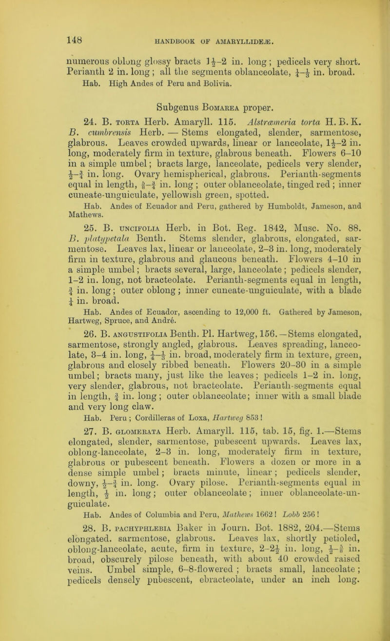 numerous oblong glossy bracts 1^-2 in. long; pedicels very short. Perianth 2 in. long; all the segments oblanceolate, £ in. broad. Hab. High Ancles of Peru and Bolivia. Subgenus Bomarea proper. 24. B. torta Herb. Amaryll. 115. ALstrameria torta H. B. K. B. cumbrensis Herb. — Stems elongated, slender, sarmentose, glabrous. Leaves crowded upwards, linear or lanceolate, 1^-2 in. long, moderately firm in texture, glabrous beneath. Flowers 6-10 in a simple umbel; bracts large, lanceolate, pedicels very slender, in. long. Ovary hemispherical, glabrous. Perianth-segments equal in length, in. long ; outer oblanceolate, tinged red ; inner cuneate-unguiculate, yellowish green, spotted. Hab. Ancles of Ecuador and Peru, gathered by Humboldt, Jameson, and Mathews. 25. B. uncifolia Herb, in Bot. Reg. 1842, Muse. No. 88. B. platypetala Benth. Stems slender, glabrous, elongated, sar- mentose. Leaves lax, linear or lanceolate, 2-8 in. long, moderately firm in texture, glabrous and glaucous beneath. Flowers 4-10 in a simple umbel; bracts several, large, lanceolate ; pedicels slender, 1-2 in. long, not bracteolate. Perianth-segments equal in length, f in. long; outer oblong; inner cuneate-unguiculate, with a blade £ in. broad. Hab. Andes of Ecuador, ascending to 12,000 ft. Gathered by Jameson, Hartweg, Spruce, and Andre. 26. B. angustifoliaBentli. PI. Hartweg, 156.—Stems elongated, sarmentose, strongly angled, glabrous. Leaves spreading, lanceo- late, 8-4 in. long, in. broad, moderately firm in texture, green, glabrous and closely ribbed beneath. Flowers 20-30 in a simple umbel; bracts many, just like the leaves; pedicels 1-2 in. long, very slender, glabrous, not bracteolate. Perianth-segments equal in length, f in. long; outer oblanceolate; inner with a small blade and very long claw. Hab. Peru ; Cordilleras of Loxa, Hartweg 853 ! 27. B. glomerata Herb. Amaryll. 115, tab. 15, fig. 1.—Stems elongated, slender, sarmentose, pubescent upwards. Leaves lax, oblong-lanceolate, 2-3 in. long, moderately firm in texture, glabrous or pubescent beneath. Flowers a dozen or more in a dense simple umbel; bracts minute, linear; pedicels slender, downy, in. long. Ovary pilose. Perianth-segments equal in length, \ in. long; outer oblanceolate; inner oblanceolate-un- guiculate. Hab. Andes of Columbia and Peru, Mathews 16(52 1 Lohb 256 ! 28. B. pachyphlebia Baker in Journ. Bot. 1882, 204.—Stems elongated, sarmentose, glabrous. Leaves lax, shortly petioled, oblong-lanceolate, acute, firm in texture, 2-2£ in. long, in. broad, obscurely pilose beneath, with about 40 crowded raised veins. Umbel simple, 6-8-fiowered ; bracts small, lanceolate; pedicels densely pubescent, ebracteolate, under an inch long.