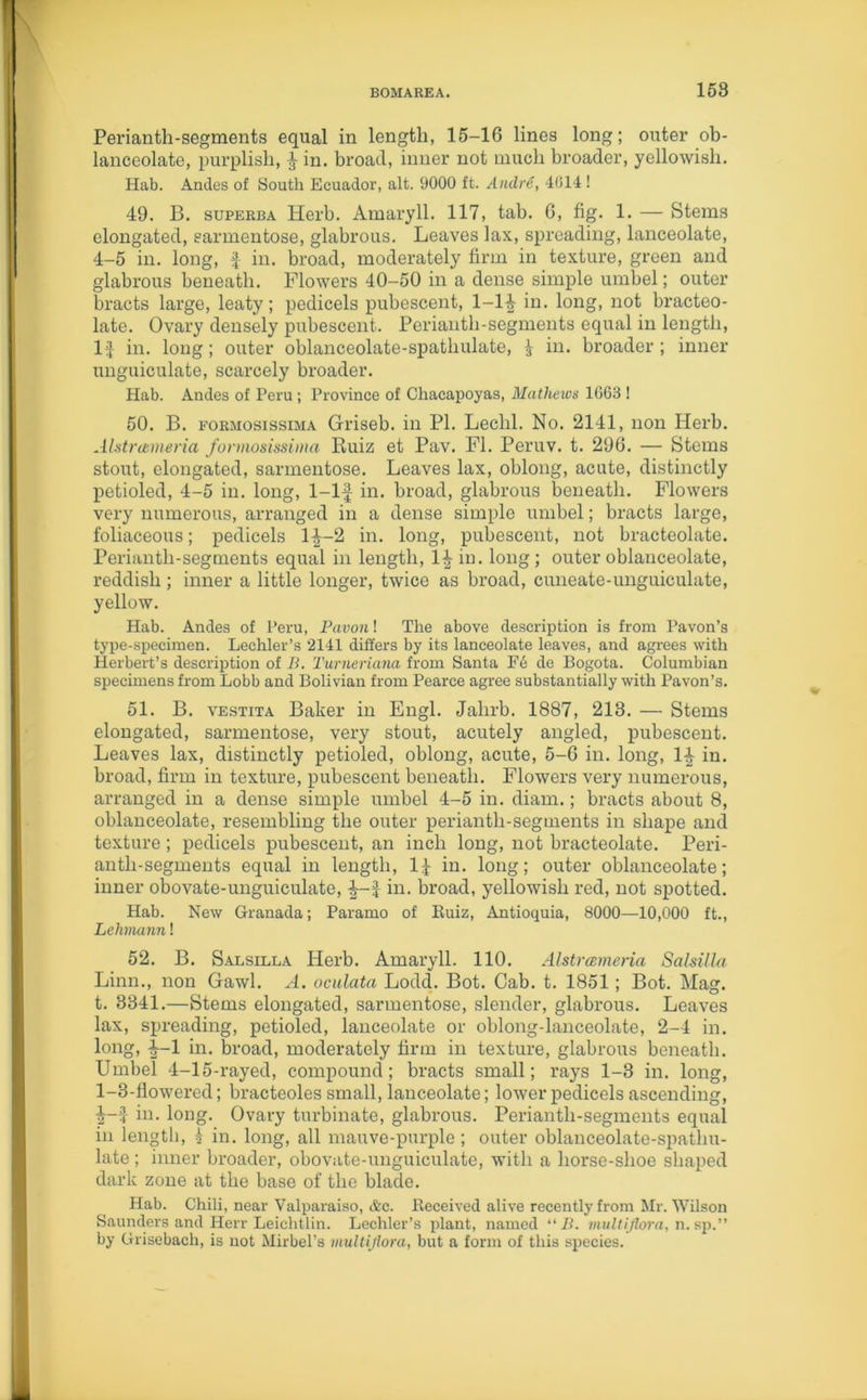 Perianth-segments equal in length, 15-16 lines long; outer ob- lanceolate, purplish, 4 in. broad, inner not much broader, yellowish. Hab. Andes of South Ecuador, alt. 9000 ft. Andre, 4014 ! 49. B. superba Herb. Amaryll. 117, tab. 6, fig. 1. — Stems elongated, sarmentose, glabrous. Leaves lax, spreading, lanceolate, 4-5 in. long, f in. broad, moderately firm in texture, green and glabrous beneath. Flowers 40-50 in a dense simple umbel; outer bracts large, leaty; pedicels pubescent, 1-1^ in. long, not bracteo- late. Ovary densely pubescent. Perianth-segments equal in length, If in. long; outer oblanceolate-spathulate, £ in. broader; inner unguiculate, scarcely broader. Hab. Andes of Peru ; Province of Chacapoyas, Mathews 1GG3 ! 50. B. formosissima Griseb. in PI. Leclil. No. 2141, non Herb. Alstnemeria formosissima Ruiz et Pav. FI. Peruv. t. 296. — Stems stout, elongated, sarmentose. Leaves lax, oblong, acute, distinctly petioled, 4-5 in. long, 1-lf in. broad, glabrous beneath. Flowers very numerous, arranged in a dense simple umbel; bracts large, foliaceous; pedicels 1^-2 in. long, pubescent, not bracteolate. Perianth-segments equal in length, 1^ in. long ; outer oblauceolate, reddish; inner a little longer, twice as broad, cuneate-unguiculate, yellow. Hab. Andes of Peru, Pavon! The above description is from Pavon’s type-specimen. Lechler’s 2141 differs by its lanceolate leaves, and agrees with Herbert’s description of B. Turnenana from Santa Ee de Bogota. Columbian specimens from Lobb and Bolivian from Pearce agree substantially with Pavon’s. 51. B. vestita Baker in Engl. Jahrb. 1887, 213. — Stems elongated, sarmentose, very stout, acutely angled, pubescent. Leaves lax, distinctly petioled, oblong, acute, 5-6 in. long, 14 in. broad, firm in texture, pubescent beneath. Flowers very numerous, arranged in a dense simple umbel 4-5 in. diam.; bracts about 8, oblauceolate, resembling the outer periantli-seguients in shape and texture; pedicels pubescent, an inch long, not bracteolate. Peri- anth-segments equal in length, If in. long; outer oblauceolate; inner obovate-unguiculate, in. broad, yellowish red, not spotted. Hab. New Granada; Paramo of Kuiz, Antioquia, 8000—10,000 ft., Lehmann! 52. B. Salsilla Herb. Amaryll. 110. Alstrcemeria Salsilla Linn., non Gawl. A. oculata Lodd. Bot. Cab. t. 1851; Bot. Mag. t. 3341.—Stems elongated, sarmentose, slender, glabrous. Leaves lax, spreading, petioled, lanceolate or oblong-lanceolate, 2-4 in. long, i-l in. broad, moderately firm in texture, glabrous beneath. Umbel 4-15-rayed, compound; bracts small; rays 1-3 in. long, 1-3-flowered; bracteoles small, lanceolate; lower pedicels ascending, 4-f in. long. Ovary turbinate, glabrous. Perianth-segments equal in length, 5 in. long, all mauve-purple; outer oblanceolate-spathu- late ; inner broader, obovate-unguiculate, with a horse-shoe shaped dark zone at the base of the blade. Hab. Chili, near Valparaiso, &c. Received alive recently from Mr. Wilson Saunders and Herr Leichtlin. Lechler’s plant, named “ B. multiflora, n. sp.” by Grisebach, is not Mirbel’s multijlora, but a form of this species.