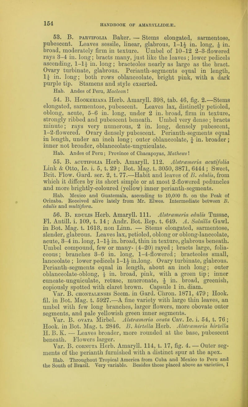 53. B. parvifolia Baker. — Stems elongated, sarmentose, pubescent. Leaves sessile, linear, glabrous, 1-1£ in. long, ^ in. broad, moderately firm in texture. Umbel of 10-12 2-3-flowered rays 3-4 in. long; bracts many, just like the leaves ; lower pedicels ascending, 1-H in. long; bracteoles nearly as large as the bract. Ovary turbinate, glabrous. Perianth-segments equal in length, lb in. long; both rows oblanceolate, bright pink, with a dark purple tip. Stamens and style exserted. Hab. Andes of Peru, Maclean! 54. B. Hookeriana Herb. Amaryll. 398, tab. 46, fig. 2.—Stems elongated, sarmentose, pubescent. Leaves lax, distinctly petioled, oblong, acute, 5-6 in. long, under 2 in. broad, firm in texture, strongly ribbed and pubescent beneath. Umbel very dense ; bracts minute; rays very numerous, 2 in. long, densely pubescent, 1-2-fiowered. Ovary densely pubescent. Perianth-segments equal in length, under an inch long; outer oblanceolate, b in. broader; inner not broader, oblanceolate-unguiculate. Hab. Andes of Peru ; Province of Chacapoyas, Mathews ! 55. B. acutifolia Herb. Amaryll. 112. Alstrcemeiia acutifolia Link & Otto, Ic. i. 5, t. 29 ; Bot. Mag. t. 3050, 3871, 6444 ; Sweet, Brit. Flow. Gard. ser. 2, t. 77.—Habit and leaves of B. ediilis, from which it differs by its short simple or at most 2-flowered peduncles and more brightly-coloured (yellow) inner perianth-segments. Hab. Mexico and Guatemala, ascending to 10,000 ft. on the Peak of Orizaba. Received alive lately from Mr. Elwes. Intermediate between B. edulis and multiflora. 56. B. edulis Herb. Amaryll. 111. Alstrcemeiia edulis Tussac, FI. Antill. i. 109, t. 14; Andr. Bot. Bep. t. 649. A. Salsilla Gawl. in Bot. Mag. t. 1613, non Linn. — Stems elongated, sarmentose, slender, glabrous. Leaves lax, petioled, oblong or oblong-lanceolate, acute, 3-4 in. long, 1-1£ in. broad, thin in texture, glabrous beneath. Umbel compound, few or many- (4-20) rayed; bracts large, folia- ceous; branches 3-6 in. long, 1-4-flowered; bracteoles small, lanceolate ; lower pedicels 1-1^ in.long. Ovary turbinate, glabrous. Perianth-segments equal in length, about an inch long; outer oblanceolate-oblong, £ in. broad, pink, with a green tip; inner cuneate-unguiculate, retuse, mucronate, % in. broad, greenish, copiously spotted with claret brown. Capsule 1 in. diam. Yar. B. chontalensis Seem, in Gard. Cliron. 1871, 479; Hook, fil. in Bot. Mag. t. 5927.—A fine variety with large thin leaves, an umbel with few long branches, larger flowers, more obovate outer segments, and pale yellowish green inner segments. Yar. B. ovata Mirbel. Alstrcemeiia ovata Cav. Ic. i. 54, t. 76 ; Hook, in Bot. Mag. t. 2846. B. hirtella Herb. Alstrcemeiia hirtella H. B. K. — Leaves broader, more rounded at the base, pubescent beneath. Flowers larger. Var. B. cornuta Herb. Amaryll. 114, t. 17, fig. 4. — Outer seg- ments of the perianth furnished with a distinct spur at the apex. Hab. Throughout Tropical America from Cuba and Mexico to Peru and the South of Brazil. Very variable. Besides those placed above as varieties, I