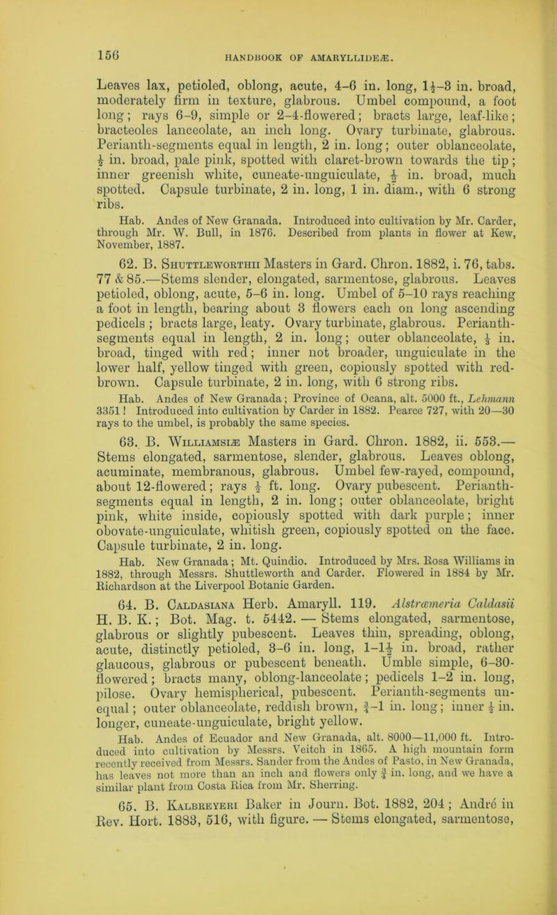 Leaves lax, petioled, oblong, acute, 4-6 in. long, 1^-3 in. broad, moderately firm in texture, glabrous. Umbel compound, a foot long; rays 6-9, simple or 2-4-flowered; bracts large, leaf-like; bracteoles lanceolate, an inch long. Ovary turbinate, glabrous. Perianth-segments equal in length, 2 in. long; outer oblanceolate, £ in. broad, pale pink, spotted with claret-brown towards the tip; inner greenish white, cuneate-unguiculate, \ in. broad, much spotted. Capsule turbinate, 2 in. long, 1 in. diam., with 6 strong ribs. Hab. Ancles of New Granada. Introduced into cultivation by Mr. Carder, through Mr. W. Bull, in 1876. Described from plants in flower at Kew, November, 1887. 62. B. Shuttleworthii Masters in Gard. Chron. 1882, i. 76, tabs. 77 &85.—Stems slender, elongated, sarmentose, glabrous. Leaves petioled, oblong, acute, 5-6 in. long. Umbel of 5-10 rays reaching a foot in length, bearing about 3 flowers each on long ascending pedicels ; bracts large, leaty. Ovary turbinate, glabrous. Perianth- segments equal in length, 2 in. long; outer oblanceolate, £ in. broad, tinged with red; inner not broader, unguiculate in the lower half, yellow tinged with green, copiously spotted with red- brown. Capsule turbinate, 2 in. long, with 6 strong ribs. Hab. Andes of New Granada; Province of Ocana, alt. 5000 ft., Lehmann 3351! Introduced into cultivation by Carder in 1882. Pearce 727, with 20—30 rays to the umbel, is probably the same species. 63. B. Williamsi.® Masters in Gard. Chron. 1882, ii. 553.— Stems elongated, sarmentose, slender, glabrous. Leaves oblong, acuminate, membranous, glabrous. Umbel few-rayed, compound, about 12-flowered; rays £ ft. long. Ovary pubescent. Perianth- segments equal in length, 2 in. long; outer oblanceolate, bright pink, white inside, copiously spotted with dark purple; inner obovate-unguiculate, whitish green, copiously spotted on the face. Capsule turbinate, 2 in. long. Hab. New Granada; Mt. Quindio. Introduced by Mrs. Rosa Williams in 1882, through Messrs. Shuttleworth and Carder. Flowered in 1884 by Mr. Richardson at the Liverpool Botanic Garden. 64. B. Caldasiana Herb. Amaryll. 119. Alstrameria Caldasii H. B. K.; Bot. Mag. t. 5442. — Stems elongated, sarmentose, glabrous or slightly pubescent. Leaves thin, spreading, oblong, acute, distinctly petioled, 3-6 in. long, 1-1^ in. broad, rather glaucous, glabrous or pubescent beneath. Umble simple, 6-30- fiowered; bracts many, oblong-lanceolate; pedicels 1-2 in. long, pilose. Ovary hemispherical, pubescent. Perianth-segments un- equal; outer oblanceolate, reddish brown, f-1 in. long; inner | in. longer, cuneate-unguiculate, bright yellow. Hab. Andes of Ecuador and New Granada, alt. 8000—11,000 ft. Intro- duced into cultivation by Messrs. Veitch in 1865. A high mountain form recently received from Messrs. Sander from the Andes of Pasto, in New Granada, has leaves not more than an inch and flowers only £ in. long, and we have a similar plant from Costa Rica from Mr. Slierring. 65. B. Kalbreyeri Baker in Journ. Bot. 1882, 204 ; Andre in Rev. Hort. 1883, 516, with figure. — Stems elongated, sarmentose,