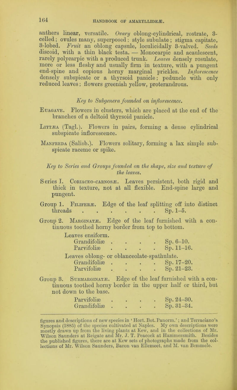anthers linear, versatile. Ovary oblong-cylindrical, rostrate, 3- celled ; ovules many, superposed ; style subulate ; stigma capitate, 3-lobed. Fruit an oblong capsule, loculicidally 3-valved. Seeds discoid, with a thin black testa. — Monocarpic and acaulescent, rarely polycarpic with a produced trunk. Leaves densely rosulate, more or less fleshy and usually firm in texture, with a pungent end-spine and copious horny marginal prickles. Inflorescence densely subspicate or a thyrsoid panicle; peduncle with only reduced leaves; flowers greenish yellow, proterandrous. Key to Subgenera founded on inflorescence. Euagave. Flowers in clusters, which are placed at the end of the branches of a deltoid thyrsoid panicle. Litt®a (Tagl.). Flowers in pairs, forming a dense cylindrical subspicate inflorescence. Manfreda (Salisb.). Flowers solitary, forming a lax simple sub- spicate raceme or spike. Key to Series and Groups founded on the shape, size and texture of the leaves. Series I. Coriaceo-carnos®. Leaves persistent, both rigid and thick in texture, not at all flexible. End-spine large and pungent. Group 1. Filifer®. Edge of the leaf splitting off into distinct threads Sp. l-o. Group 2. Marginat®. Edge of the leaf furnished with a con- tinuous toothed horny border from top to bottom. Leaves ensiform. Grandifoli® .... Sp. 6-10. Parvifolite . . . Sp. 11-16. Leaves oblong- or oblanceolate-spatlmlate. Grandifolke .... Sp. 17-20. ParvifoliaB .... Sp. 21-23. Group 3. Submarginat®. Edge of the leaf furnished with a con- tinuous toothed horny border in the upper half or third, but not down to the base. Parvifoli® .... Sp. 24-30. Grandifolke .... Sp. 31-34. figures and descriptions of new species in ‘ Hort. Bot. Panorm.’; and Terraciano’s Synopsis (1885) of the species cultivated at Naples. My own descriptions were mostly drawn up from the living plants at Kew, and in the collections of Mr. Wilson Saunders at Beigate and Mr. J. T. Peacock at Hammersmith. Besides the published figures, there are at Kew sets of photographs made from the col- lections of Mr. Wilson Saunders, Baron van Ellemeet, and M. van Bemmele.