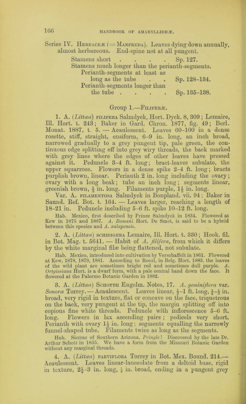 1GG Series IV. Herbace/E ( = Manfred a). Leaves dying clown annually, almost herbaceous. End-spine not at all pungent. Stamens short .... Sp. 127. Stamens much longer than the perianth-segments. Perianth-segments at least as long as the tube . . Sp. 128-134. Perianth-segments longer than the tube .... Sp.135-138. Group 1.—Filifera. 1. A. i Littcea) filifera Salmclyck, Hort. Dyck. 8, 309 ; Lemaire, 111. Hort. t. 243; Baker in Gard. Cliron. 1877, fig. 49; Berl. Monat. 1887, t. 5. — Acaulescent. Leaves G0-100 in a dense rosette, stiff, straight, ensiform, G-9 in. long, an inch broad, narrowed gradually to a grey pungent tip, pale green, the con- tinuous edge splitting off into grey wiry threads, the hack marked with grey lines where the edges of other leaves have pressed against it. Peduncle 3-4 ft. long; bract-leaves subulate, the upper squarrose. Flowers in a dense spike 2-4 ft. long; bracts purplish brown, linear. Perianth 2 in. long including the ovary ; ovary with a long beak; tube an inch long ; segments linear, greenish brown, \ in. long. Filaments purple, 1|- in. long. Var. A. filamentosa Salmdyck in Bonplancl. vii. 94 ; Baker in Sauncl. Bef. Bot. t. 164. — Leaves larger, reaching a length of 18-21 in. Peduncle including 5-6 ft. spike 10-12 ft. long. Hab. Mexico, first described by Prince Salmdyck in 1834. Flowered at Kew in 1875 and 1887. A. Romani Hort. De Smet, is said to be a hybrid between this species and A. xalapensis. 2. A. (Littcea) schidigera Lemaire, 111. Hort. t. 330; Hook. fil. in Bot. Mag. t. 5G41. — Habit of A. filifera, from which it differs by the white marginal fihe being flattened, not subulate. Hab. Mexico, introduced into cultivation by Verschaffelt in 1861. Flowered at Kew, 1878, 1879, 1881. According to Roezl, in Belg. Hort. 1883, the leaves of the wild plant are sometimes bright red and sometimes dull purple. A. Ortgiesiana Hort. is a dwarf form, with a pale central band down the face. It flowered at the Palermo Botanic Garden in 1882. 3. A. (Littcea) Schottii Engelm. Notes, 17. A. geminiflora var. Sonorce Torrey. — Acaulescent. Leaves linear, -|-1 ft. long, in. broad, very rigid in texture, fiat or concave on the face, triquetrous on the back, very pungent at the tip, the margin splitting off into copious fine white threads. Peduncle with inflorescence 5-G ft. long. Flowers in lax ascending pairs ; pedicels very short. Perianth with ovary 1J in. long; segments equalling the narrowly funnel-shaped tube. Filaments twice as long as the segments. Hab. Sierras of Southern Arizona, Pringle! Discovered by the late Dr. Arthur Schott in 1855. We have a form from the Missouri Botanic Garden without any marginal threads. 4. A. (Littcea) parviflora Torrey in Bot. Mex. Bound. 214.— Acaulescent. Leaves linear-lanceolate from a deltoid base, rigid in texture, 2^-3 in. long, 1 in. broad, ending in a pungent grey