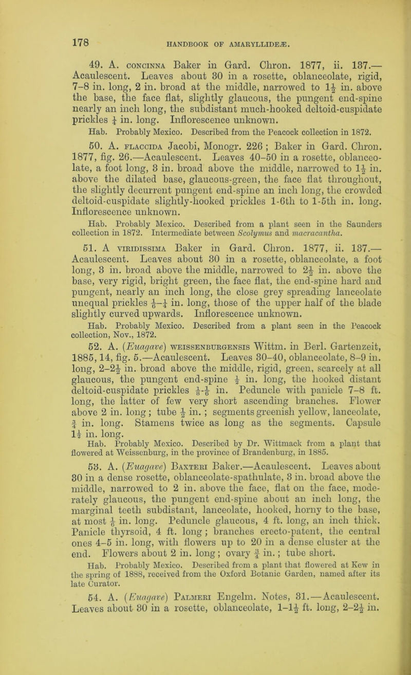 49. A. concinna Baker in Garcl. Cliron. 1877, ii. 137.— Acaulescent. Leaves about 30 in a rosette, oblanceolate, rigid, 7-8 in. long, 2 in. broad at the middle, narrowed to 1£ in. above the base, the face flat, slightly glaucous, the pungent end-spine nearly an inch long, the subdistant mucli-hooked deltoid-cuspidate prickles 4 in. long. Inflorescence unknown. Hab. Probably Mexico. Described from the Peacock collection in 1872. 50. A. flaccida Jacobi, Monogr. 226 ; Baker in Gard. Cliron. 1877, fig. 26.—Acaulescent. Leaves 40-50 in a rosette, oblanceo- late, a foot long, 3 in. broad above the middle, narrowed to If in. above the dilated base, glaucous-green, the face flat throughout, the slightly decurrent pungent end-spine an inch long, the crowded deltoid-cuspidate slightly-hooked prickles l-6tli to l-5tli in. long. Inflorescence unknown. Hab. Probably Mexico. Described from a plant seen in the Saunders collection in 1872. Intermediate between Scolymus and macracantha. 51. A viridissima Baker in Gard. Cliron. 1877, ii. 137.— Acaulescent. Leaves about 30 in a rosette, oblanceolate, a foot long, 3 in. broad above the middle, narrowed to 2f in. above the base, very rigid, bright green, the face flat, the end-spine hard and pungent, nearly an inch long, the close grey spreading lanceolate unequal prickles in. long, those of the upper half of the blade slightly curved upwards. Inflorescence unknown. Hab. Probably Mexico. Described from a plant seen in the Peacock collection, Nov., 1872. 52. A. (Euagave) weissenburgensis Wittm. in Berl. Gartenzeit, 1885,14, fig. 5.—Acaulescent. Leaves 30-40, oblanceolate, 8-9 in. long, 2-2f in. broad above the middle, rigid, green, scarcely at all glaucous, the pungent end-spine f in. long, the hooked distant deltoid-cuspidate prickles f-f in. Peduncle with panicle 7-8 ft. long, the latter of few very short ascending branches. Flower above 2 in. long ; tube f in. ; segments greenish yellow, lanceolate, f in. long. Stamens twice as long as the segments. Capsule li in. long. Hab. Probably Mexico. Described by Dr. Wittmack from a plant that flowered at Weissenburg, in the province of Brandenburg, in 1885. 53. A. (Euagave) Baxteri Baker.—Acaulescent. Leaves about 30 in a dense rosette, oblanceolate-spathulate, 3 in. broad above the middle, narrowed to 2 in. above the face, flat on the face, mode- rately glaucous, the pungent end-spine about an inch long, the marginal teeth subdistant, lanceolate, hooked, horny to the base, at most f in. long. Peduncle glaucous, 4 ft. long, an inch thick. Panicle tliyrsoid, 4 ft. long ; branches erecto-patent, the central ones 4-5 in. long, with flowers up to 20 in a dense cluster at the end. Flowers about 2 in. long ; ovary f in. ; tube short. Hab. Probably Mexico. Described from a plant that flowered at Kew in the spring of 1888, received from the Oxford Botanic Garden, named after its late Curator. 54. A. (FALayave) Palmeri Engelm. Notes, 31. — Acaulescent. Leaves about 30 in a rosette, oblanceolate, 1-1£ ft. long, 2-2^ in.