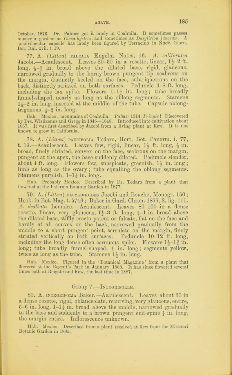 October, 1876. Dr. Palmer got it lately in Coahuila. It sometimes passes muster in gardens as Yucca hyslrix, and sometimes as Dasylirion junceurn. A quadrilocular capsule has lately been figured by Terracino in Nnov. Giorn. Bot. Ital. xvii. 1.19. 77. A. (Littaa) falcata Engelm. Notes, 1G. A. californica Jacobi.—Acaulesceut. Leaves 20-30 in a rosette, linear, 14-2 ft. long, f in. broad above the dilated base, rigid, glaucous, narrowed gradually to the horny brown pungent tip, scabrous on the margin, distinctly keeled on the face, subtriquetrous on the back, distinctly striated on both surfaces. Peduncle 4-8 ft. long, including the lax spike. Flowers 1-1J in. long; tube broadly funnel-shaped, nearly as long as the oblong segments. Stamens lf-2 in. long, inserted at the middle of the tube. Capsule oblong- trigonous, in* long. Hab. Mexico ; mountains of Coahuila. Palmer 1314, Pringle ! Discovered by Drs. Wislizenus and Gregg in 1846—1848. Introduced into cultivation about 1867. It was first described by Jacobi from a living plant at Kew. It is not known to grow in California. 78. A. (Littaa) paucifolia Todaro, Idort. Bot. Panorm. i. 77, t. 19.—Acaulescent. Leaves few, rigid, linear, 1^ ft. long, ^ in. broad, finely striated, convex on the face, scabrous on the margin, pungent at the apex, the base suddenly dilated. Peduncle slender, about 4 ft. long. Flowers few, subspicate, greenish, 1^ in. long; limb as long as the ovary; tube equalling the oblong segments. Stamens purplish, 1-li in. long. Hab. Probably Mexico. Described by Dr. Todaro from a plant that flowered at the Palermo Botanic Garden in 1877. 79. A. (Littcea) dasylirioides Jacobi and Bouclie, Monogr. 150; Hook, in Bot. Mag. t. 571G ; Baker in Gard. Chron. 1877, 2, fig. 111. A. clealbata Lemaire.—Acaulescent. Leaves 80-100 in a dense rosette, linear, very glaucous, 1^-3 ft. long, f-1 in. broad above the dilated base, stiffly erecto-patent or falcate, flat on the face and hardly at all convex on the back, narrowed gradually from the middle to a short pungent point, serrulate on the margin, finely striated vertically on both surfaces. Peduncle 10-12 ft. long, including the long dense often cernuous spike. Flowers 14—If in. long; tube broadly funnel-shaped, 4 in- long; segments yellow, twice as long as the tube. Stamens 1^ in. long. Hab. Mexico. Figured in the ‘ Botanical Magazine ’ from a plant that flowered at the Regent’s Park in January, 1868. It has since flowered several times both at Reigate and Kew, the last time in 1887. Group 7.—Integrifoli.e. 80. A. integrifolia Baker.—Acaulescent. Leaves about 30 in a dense rosette, rigid, oblanceolate, recurving, very glaucous, entire, 5-6 in. long, 1-14 in. broad above the middle, narrowed gradually to the base and suddenly to a brown pungent end-spine £ in. long, the margin entire. Inflorescence unknown. Hab. Mexico. Described from a plant received at Kew from the Missouri Botanic Garden in 1885.