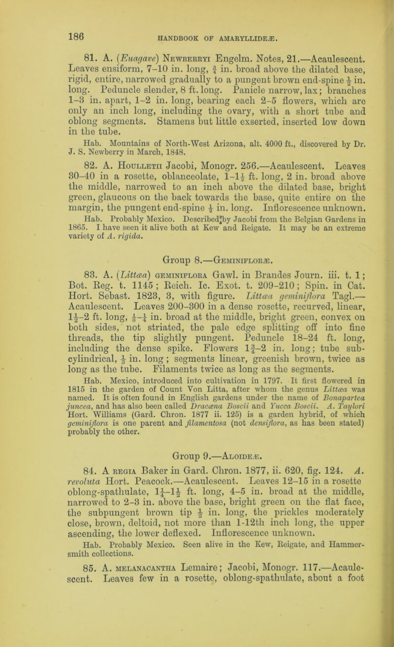 81. A. (Euagave) Newberryi Engelm. Notes, 21.—Acaulescent. Leaves ensiform, 7-10 in. long, J in. broad above the dilated base, rigid, entire, narrowed gradually to a pungent brown end-spine ^ in. long. Peduncle slender, 8 ft. long. Panicle narrow, lax; branches 1-8 in. apart, 1-2 in. long, bearing each 2-5 flowers, which are only an inch long, including the ovary, with a short tube and oblong segments. Stamens but little exserted, inserted low down in the tube. Hab. Mountains of North-West Arizona, alt. 4000 ft., discovered by Dr. J. S. Newberry in March, 1848. 82. A. Houlletii Jacobi, Monogr. 25G.—Acaulescent. Leaves 80-40 in a rosette, oblanceolate, 1-1£ ft. long, 2 in. broad above the middle, narrowed to an inch above the dilated base, bright green, glaucous on the back towards the base, quite entire on the margin, the pungent end-spine £ in. long. Inflorescence unknown. Hab. Probably Mexico. Described*by Jacobi from the Belgian Gardens in 18G5. I have seen it alive both at Kew and Beigate. It may be an extreme variety of A. rigida. Group 8.—Geminiflora. 83. A. (Littcea) geminiflora Gawl. in Brandes Journ. iii. t. 1; Bot. Reg. t. 1145 ; Reich. Ic. Exot. t. 209-210 ; Spin, in Cat. Hort. Sebast. 1823, 3, with figure. Littcea geminiflora Tagl.— Acaulescent. Leaves 200-300 in a dense rosette, recurved, linear, l|-2 ft. long, a-4 in. broad at the middle, bright green, convex on both sides, not striated, the pale edge splitting off into fine threads, the tip slightly pungent. Peduncle 18-24 ft. long, including the dense spike. Flowers lf-2 in. long; tube sub- cylindrical, ^ in. long ; segments linear, greenish brown, twice as long as the tube. Filaments twice as long as the segments. Hab. Mexico, introduced into cultivation in 1797. It first flowered in 1815 in the garden of Count Yon Litta, after whom the genus Littcea was named. It is often found in English gardens under the name of Bonapartea juncea, and has also been called Draccena Boscii and Yucca Boscii. A. Taylori Hort. Williams (Gard. Chron. 1877 ii. 125) is a garden hybrid, of which geminiflora is one parent and filamentosa (not densiflora, as lias been stated) probably the other. Group 9.—Aloide.e. 84. A regia Baker in Gard. Chron. 1877, ii. 620, fig. 124. A. revoluta Hort. Peacock.—Acaulescent. Leaves 12-15 in a rosette oblong-spathulate, 1J-1£ ft. long, 4-5 in. broad at the middle, narrowed to 2-3 in. above the base, bright green on the flat face, the subpungent brown tip £ in. long, the prickles moderately close, brown, deltoid, not more than l-12th inch long, the upper ascending, the lower deflexed. Inflorescence unknown. Hab. Probably Mexico. Seen alive in the Kew, Beigate, and Hammer- smith collections. 85. A. melanacantha Lemaire; Jacobi, Monogr. 117.—Acaule- scent. Leaves few in a rosette, oblong-spathulate, about a foot