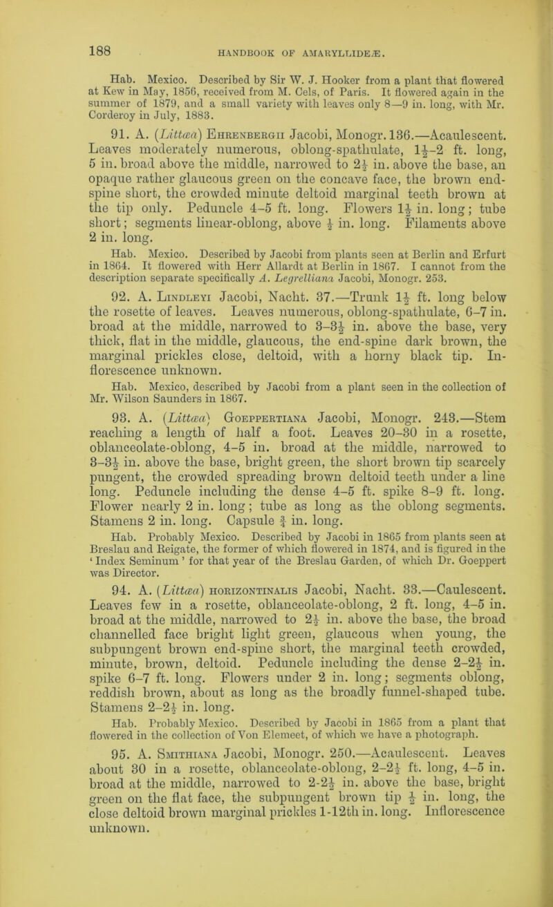 Hab. Mexico. Described by Sir W. J. Hooker from a plant that flowered at Kew in May, 1850, received from M. Cels, of Paris. It flowered again in the summer of 1879, and a small variety with leaves only 8—9 in. long, with Mr. Corderoy in July, 1883. 91. A. (Littcca) Ehrenbergii Jacobi, Monogr. 136.—Acaulescent. Leaves moderately numerous, oblong-spatliulate, l|-2 ft. long, 5 in. broad above the middle, narrowed to 21 in. above the base, an opaque rather glaucous green on the concave face, the brown end- spine short, the crowded minute deltoid marginal teeth brown at the tip only. Peduncle 4-5 ft. long. Flowers 1J in. long; tube short; segments linear-oblong, above $ in. long. Filaments above 2 in. long. Hab. Mexico. Described by Jacobi from plants seen at Berlin and Erfurt in 1864. It flowered with Herr Allardt at Berlin in 1867. I cannot from the description separate specifically A. Legrelliana Jacobi, Monogr. 253. 92. A. Lindleyi Jacobi, Nacht. 37.—Trunk If ft. long below the rosette of leaves. Leaves numerous, oblong-spatliulate, 6-7 in. broad at the middle, narrowed to 3-3f in. above the base, very thick, flat in the middle, glaucous, the end-spine dark brown, the marginal prickles close, deltoid, with a horny black tip. In- florescence unknown. Hab. Mexico, described by Jacobi from a plant seen in the collection of Mr. Wilson Saunders in 1867. 93. A. (Littcca) Goeppertiana Jacobi, Monogr. 243.—Stem reaching a length of half a foot. Leaves 20-30 in a rosette, oblanceolate-oblong, 4-5 in. broad at the middle, narrowed to 3-3f in. above the base, bright green, the short brown tip scarcely pungent, the crowded spreading brown deltoid teeth under a line long. Peduncle including the dense 4-5 ft. spike 8-9 ft. long. Flower nearly 2 in. long; tube as long as the oblong segments. Stamens 2 in. long. Capsule f in. long. Hab. Probably Mexico. Described by Jacobi in 1865 from plants seen at Breslau and Reigate, the former of which flowered in 1874, and is figured in the ‘ Index Seminum ’ for that year of the Breslau Garden, of which Dr. Goeppert was Director. 94. A. (Littaa) horizontinalis Jacobi, Nacht. 33.—Caulescent. Leaves few in a rosette, oblanceolate-oblong, 2 ft. long, 4-5 in. broad at the middle, narrowed to 2£ in. above the base, the broad channelled face bright light green, glaucous when young, the subpungent brown end-spine short, the marginal teeth crowded, minute, brown, deltoid. Peduncle including the dense 2-2f in. spike 6-7 ft. long. Flowers under 2 in. long; segments oblong, reddish brown, about as long as the broadly funnel-shaped tube. Stamens 2-24 in. long. Hab. Probably Mexico. Described by Jacobi in 1865 from a plant that flowered in the collection of Von Elemeet, of which we have a photograph. 95. A. Smithiana Jacobi, Monogr. 250.—Acaulescent. Leaves about 30 in a rosette, oblanceolate-oblong, 2-2f ft. long, 4-5 in. broad at the middle, narrowed to 2-2| in. above the base, bright green on the flat face, the subpimgent brown tip \ in. long, the close deltoid brown marginal prickles 1-12th in. long. Inflorescence unknown.