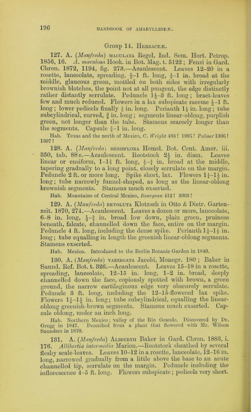 19G Group 14. Herbace/e. 127. A. (Manfreda) maculata Regcl, Licl. Sem. Hort. Petrop. 1856, 16. A. maculosa Hook, in Hot. Mag. t. 5122 ; Fenzi in Gard. Chron. 1872, 1104, fig. 278.—Acaulescent. Loaves 12-20 in a rosette, lanceolate, spreading, ^-1 ft. long, f-1 in. broad at the middle, glaucous green, mottled on both sides with irregularly brownish blotches, the point not at all pungent, the edge distinctly rather distantly serrulate. Peduncle 1^-8 ft. long; bract-leaves few and much reduced. Flowers in a lax subspicate raceme ^-1 ft. long ; lower pedicels finally 4 in. long. Perianth 14 in. long ; tube subcylindrical, curved, f in. long ; segments linear-oblong, purplish green, not longer than the tube. Stamens scarcely longer than the segments. Capsule if-1 in. long. Hab. Texas and the north of Mexico, C. Wright 483 ! 1905 ! Palmer 1300 ! 1307! 128. A. (Manfreda) sessiflora Ilemsl. Bot. Cent. Amer. iii. 850, tab. 88b.—Acaulescent. Rootstock 2^ in. diam. Leaves linear or ensiform, 1-11 ft. long, in. broad at the middle, tapering gradually to a long point, closely serrulate on the margin. Peduncle 2 ft. or more long. Spike short, lax. Flowers 14-14 in. long; tube narrowly funnel-shaped, as long as the linear-oblong brownish segments. Stamens much exserted. Hab. Mountains of Central Mexico, Bourgeau 412 ! 3003 ! 129. A. (Manfreda) revoluta Klotzsch in Otto & Dietr. Garten- zeit. 1870, 274.—Acaulescent. Leaves a dozen or more, lanceolate, 6-8 in. long, in. broad low down, plain green, pruinose beneath, falcate, channelled down the face, entire on the margin. Peduncle 4 ft. long, including the dense spike. lJerianth 14-14 in. long ; tube equalling in length the greenish linear-oblong segments. Stamens exserted. Hab. Mexico. Introduced to the Berlin Botanic Garden in 1840. 180. A. (Manfreda) variecata Jacobi, Monogr. 180 ; Baker in Saund. Ref. Bot. t. 326.—Acaulescent. Leaves 15-18 in a rosette, spreading, lanceolate, 12-15 in. long, 1-2 in. broad, deeply channelled down the face, copiously spotted with brown, a green ground, the narrow cartilaginous edge very obscurely serrulate. Peduncle 3 ft. long, including the 12-15-flowered lax spike. Flowers 1J-1^ in. long; tube subcylindrical, equalling the linear- oblong greenish-brown segments. Stamens much exserted. Cap- sule oblong, under an inch long. Iiab. Northern Mexico; valley of the Bio Grande. Discovered by Dr. Gregg in 1847. Described from a plant that dowered with Mr. Wilson Saunders in 1870. 181. A. (Manfreda) Alibertii Baker in Gard. Chron. 1883, i. 176. Allibertia intermedia Marion.—Rootstock sheathed by several fleshy scale-leaves. Leaves 10-12 in a rosette, lanceolate, 12-16 in. long, narrowed gradually from a little above the base to an acute channelled tip, serrulate on the margin. Peduncle including the intlorescence 4-5 ft. long. Flowers subspicate; pedicels very short.