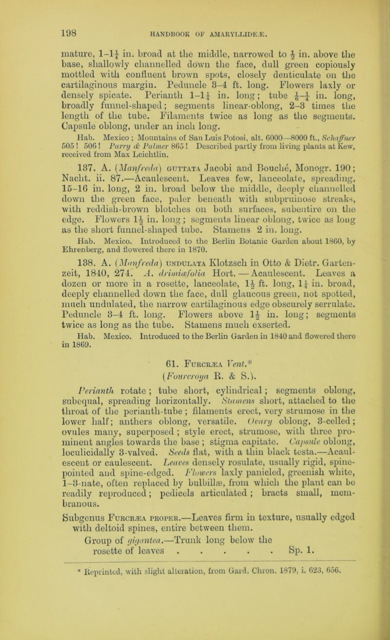 mature, 1-lf in. broad at tlie middle, narrowed to 4 in. above the base, shallowly channelled down the face, dull green copiously mottled with confluent brown spots, closely denticulate on the cartilaginous margin. Peduncle 3-4 ft. long. Flowers laxly or densely spicate. Perianth 1-11 in. long; tube in. long, broadly funnel-shaped; segments linear-oblong, 2-3 times the length of the tube. Filaments twice as long as the segments. Capsule oblong, under an inch long. Hab. Mexico ; Mountains of San Luis Potosi, alt. (5000—8000 ft., Schaffner 505 ! 506 ! Parry da Palmer 865 ! Described partly from living plants at Kew, received from Max Leichtlin. 137. A. (Manfrcda) guttata Jacobi and Bouclie, Monogr. 190; Nacht. ii. 87.—Acaulescent. Leaves few, lanceolate, spreading, 15-16 in. long, 2 in. broad below the middle, deeply channelled down the green face, paler beneath with subpruinose streaks, with reddish-brown blotches on both surfaces, subentire on the edge. Flowers 1^ in. long ; segments linear oblong, twice as long as the short funnel-shaped tube. Stamens 2 in. long. Hab. Mexico. Introduced to the Berlin Botanic Garden about 1860, by Ehrenberg, and flowered there in 1870. 138. A. (Manfred a) undulata Klotzsch in Otto & Dietr. Gar ten- zeit, 1840, 274. A. drimieefo/ia Hort.—Acaulescent. Leaves a dozen or more in a rosette, lanceolate, lift, long, 1 \ in. broad, deeply channelled down the face, dull glaucous green, not spotted, much undulated, the narrow cartilaginous edge obscurely serrulate. Peduncle 3-4 ft. long. Flowers above 1^ in. long; segments twice as long as the tube. Stamens much exserted. Hab. Mexico. Introduced to the Berlin Garden in 1840 and flowered there in 1869. 61. Furcr.tca Vent.* (Foarcrojja It. & S.). Perianth rotate ; tube short, cylindrical; segments oblong, subequal, spreading horizontally. Stamens short, attached to the throat of the perianth-tube ; filaments erect, very strumose in the lower half; anthers oblong, versatile. Ovary oblong, 3-celled; ovules many, superposed ; style erect, strumose, with three pro- minent angles towards the base ; stigma capitate. Capsule oblong, loculicidally 3-valved. Seeds flat, with a thin black testa.—Acaul- escent or caulescent. Leaves densely rosulate, usually rigid, spine- pointed and spine-edged. Flowers laxly panicled, greenish white, 1-3-nate, often replaced by bulbilhe, from which tlie plant can be readily reproduced; pedicels articulated ; bracts small, mem- branous. Subgenus Furcr^a proper.—Leaves firm in texture, usually edged with deltoid spines, entire between them. Group of gigantea.—Trunk long below the rosette of leaves ..... Sp. 1. * Reprinted, with slight alteration, from Gard. Chron. 1879, i. 623, 656.