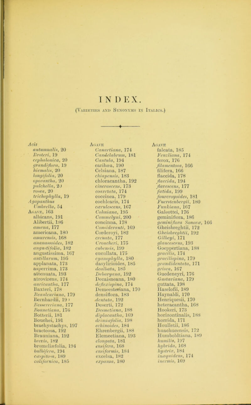 1 N I) EX. (Varieties and Synonyms in Italics.) + Acts autumnalis, 20 Broteri, 10 cephalonica, 20 grandijiora, 10 hiemalis, 20 longi folia, 20 oporantlia, 20 pulchella, 20 rosea, 20 trichophylla, 10 Agapanthus Umbrella, 54 Agave, 103 albicans, 101 Alibertii, 106 avurna, 177 americana, 180 amurensis, 168 ananassoides, 182 angustifolia, 182 angustissima, 167 antillarum, 105 applanata, 173 aspenima, 173 attenuata, 103 atrovirens, 174 auricantha, 177 Baxteri, 178 Beauleuriana, 170 Bernhardii, 10 > Besitereriana, 177 Bonnetiana, 176 Botterii, 181 Bouchei, 101 brachystachys, 107 bractcosa, 102 Biauniana, 102 brevis, 182 bromeliffi folia, 104 bulbifera, 104 cmspitosa, 180 Californiat, 185 Agave Canartiana, 174 Candelabrum, 181 Cantula, 104 caribaea, 100 Celsiana, 187 chiapemis, 183 chloracantha, 102 cinerascens, 173 coarctata, 174 coccinea, 170 cochlearis, 174 ctendescens, 167 Cohniana, 105 Commclyni, 200 concinna, 178 Comideranti, 160 Gorderoyi, 182 crenata, 177 Croucheri, 175 cube mis, 100 cucullata, 175 cganophylla, 180 dasylirioides, 185 dealbata, 185 Debaryana, 102 Decaisneana, 180 dejlexispina, 174 Demeesteriana, 170 densiflora, 183 ale id ala, 102 Deserti, 172 Desmetiana, 188 diplacantha, 169 drimucfolia, 108 echinoides, 184 Ehrenbergii, 188 Elemeetiana, 103 e Ion gat a, 181 ensifera, 168 ensiformis, 184 excclsa, 182 expansa, 180 Agave falcata, 185 Fenz liana, 174 ferox, 176 filamentosa, 166 filifera, 166 Haccida, 178 Jlaccida, 104 Jlavescens, 177 faetida, 100 fourcroyoides, 181 Fuerstenbergii, 180 Funkiana, 1(>7 Galeottei, 176 geminiriora, 186 gcminiflora Somme, 160 Gheisbreghtii, 172 Gheisbreghtii, 102 Gilbeyi, 171 glaucescens, 103 Goeppertiana, 188 gracilis, 174 gracilispina, 170 grandidentata, 171 grisea, 167 Guedeneyri, 176 Gustaviana, 170 guttata, 198 Haselofii, 180 Haynaldi, 170 Henriquesii, 170 lieteracantha, 168 Hookeri, 173 horizontinalis, 188 horrida, 171 Houlletii, 186 liuachucensis, 172 Humboldtiana, 180 humilis, 107 hybrida, 168 hystrix, 184 ineequidens, 174 inennis, 160