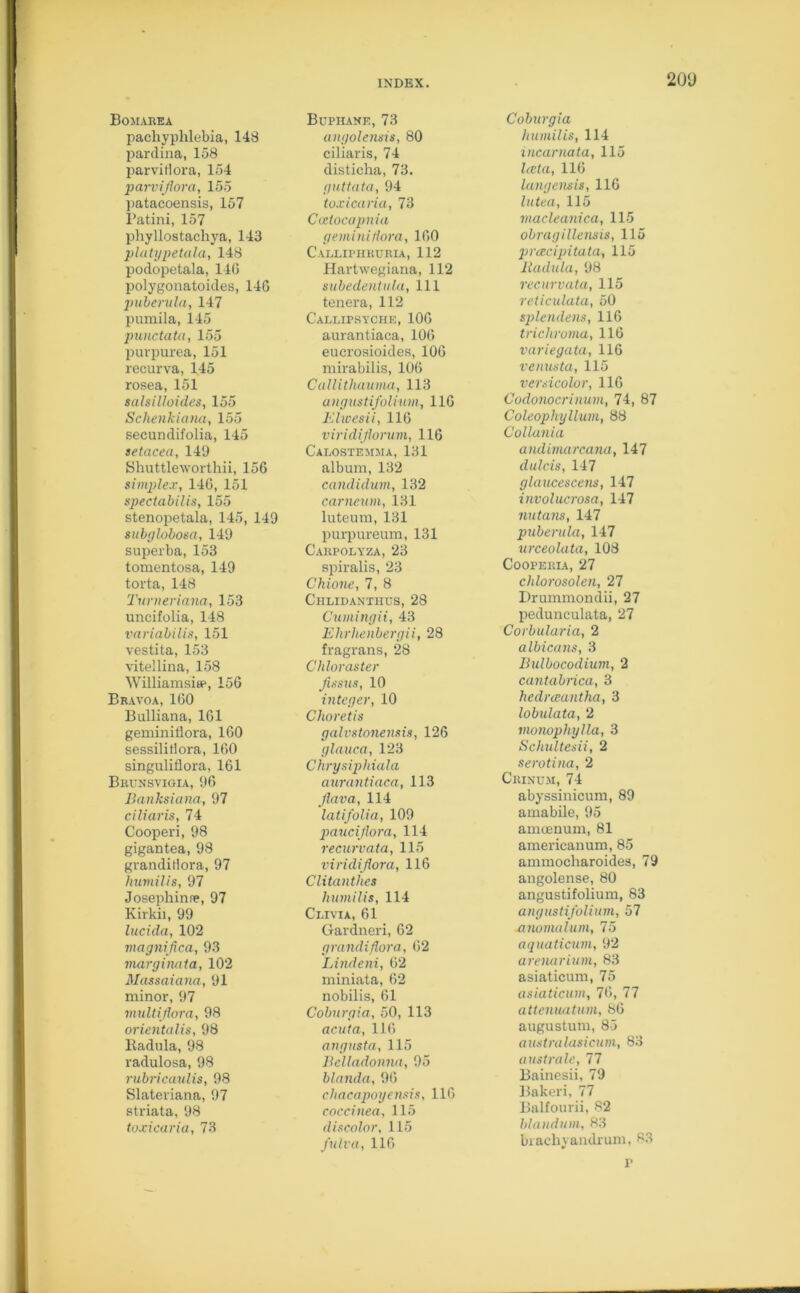 Bomarea pachyplilebia, 148 pardina, 158 parvidora, 154 paroiflora, 155 patacoensis, 157 1'atini, 157 phyllostachya, 143 platypetala, 148 podopetala, 146 polygonatoides, 146 puberula, 147 pumila, 145 punctata, 155 purpurea, 151 recurva, 145 rosea, 151 salsilloides, 155 Schenkiana, 155 secundifolia, 145 setaoea, 149 Shuttleworthii, 156 simplex, 146, 151 spectabilis, 155 stenopetala, 145, 149 subglobosa, 149 superba, 153 tomentosa, 149 torta, 148 Turneriana, 153 uncifolia, 148 variabilis, 151 vestita, 153 vitellina, 158 William si bp, 156 Bravoa, 160 Bulliana, 161 geminiflora, 160 sessilitlora, 160 singuliflora, 161 Brxjnsvigia, 96 Banksiana, 97 ciliaris, 74 Cooperi, 98 gigantea, 98 grandiHora, 97 humilis, 97 Josephinne, 97 Kirkii, 99 lucicla, 102 magnifica, 93 marginata, 102 Massaiana, 91 minor, 97 multiflora, 98 orientalis, 98 lladula, 98 radulosa, 98 rubricaulis, 98 Slateriana, 97 striata, 98 toxicaria, 73 Buphane, 73 angolensis, 80 ciliaris, 74 disticha, 73. guttata, 94 toxicaria, 73 Gcetocapnia gemini flora, 160 Calliphhuria, 112 Hartwegiana, 112 subedentula, 111 tenera, 112 Callipsyciie, 106 aurantiaca, 106 eucrosioides, 106 mirabilis, 106 Callithauma, 113 angustifolium, 116 Elwesii, 116 viridiflorum, 116 Calostemma, 131 album, 132 candulum, 132 carneum, 131 luteum, 131 purpureum, 131 Carpolyza, 23 spiralis, 23 Chione, 7, 8 Chlidanthus, 28 Cumingii, 43 Ehrhenbergii, 28 fragrans, 28 Chloraster fissus, 10 integer, 10 Clioretis galvstonensis, 126 glauca, 123 Chrysiphiala aurantiaca, 113 flava, 114 latifolia, 109 pauciflora, 114 recurvata, 115 viridi flora, 116 Clitanthes humilis, 114 Olivia, 61 Gardneri, 62 grandiflora, 62 Lindeni, 62 miniata, 62 nobilis, 61 Coburgia, 50, 113 acuta, 116 angusta, 115 Belladonna, 95 blaiula, 96 chacapoyensis, 116 cocci nea, 115 discolor, 115 j'ulv a, 116 Coburgia humilis, 114 incarnata, 115 Iceta, 116 langensis, 116 lutea, 115 macleanica, 115 obragillensis, 115 prcecipitata, 115 lladula, 98 recurvata, 115 reticulata, 50 splendens, 116 trichroma, 116 variegata, 116 venusta, 115 versicolor, 116 Godonocrinum, 74, 87 Coleophyllum, 88 Collania andimarcana, 147 dulcis, 147 glaucescens, 147 involucrosa, 147 nutans, 147 puberula, 147 urceolata, 108 Cooperia, 27 chlorosolen, 27 Drummondii, 27 pedunculata, 27 Corbularia, 2 albicans, 3 Bidbocodium, 2 cantabrica, 3 hedrceantha, 3 lobidata, 2 monophylla, 3 Sclndtesii, 2 serotina, 2 Crinum, 74 abyssinicum, 89 amabile, 95 amoenum, 81 americanum, 85 ammocharoides, 79 angolense, 80 angustifolium, 83 angustifolium, 57 anomalum, 75 aquaticum, 92 arenarium, 83 asiaticum, 75 asiaticum, 76, 77 attenuatum, 86 augustum, 85 australasicum, 83 australc, 77 Bainesii, 79 Bakeri, 77 Balfourii, 82 blandum, 83 bi achy amir um, 83 r