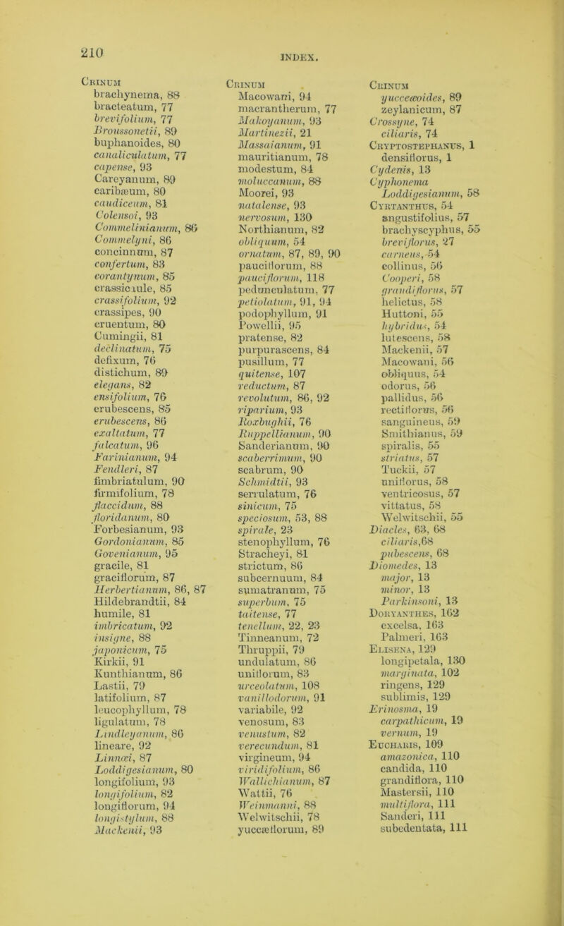 21 a Crinum brachynema, 88 bracteatum, 77 brevifolium, 77 Broussonetii, 89 buplianoides, 80 canaliculatum, 77 capense, 93 Careyanum, 89 caribieum, 80 caudiceum, 81 Colensoi, 93 CommcUnianum, 80 Commelyni, 80 concinnnm, 87 confertum, 83 corantynum, 85 crassic rule, 85 crassifolium, 92 erassipes, 90 cruentum, 80 Cumingii, 81 declinatum, 75 defixum, 70 distichum, 89 elegant, 82 ensifolium, 76 erubescens, 85 erubescens, 80 exaltatum, 77 fa lea turn, 90 Farinianuvt, 94 Feiulleri, 87 fimbriatulum, 90 ftrmifolium, 78 Jlaccidnm, 88 Jloridanum, 80 Forbesianum, 93 Gordonianum, 85 Govenianum, 95 gracile, 81 graciflorum, 87 Herbertianum, 80, 87 Hildebrandtii, 84 humile, 81 imbricatum, 92 insiyne, 88 japonicum, 75 Kirkii, 91 Kunthiannm, 80 Lastii, 79 latifolium, 87 leucophyllum, 78 ligulatum, 78 Lindleyanum, 80 lineare, 92 Linncei, 87 Loddigesianum, 80 longifolium, 93 longifolium, 82 longiliorum, 94 longistylum, 88 Mackenii, 93 Crinum Macowani, 94 macrantherum, 77 Makoyanum, 93 Martinezii, 21 Massaianum, 91 mauritianum, 78 modestum, 84 moluccanum, 88 Moorei, 93 nataleme, 93 nervosum, 130 Northianum, 82 obliquum, 54 ornatum, 87, 89, 90 paucillorum, 88 paueijlorum, 118 pedunculatum, 77 petiolatum, 91, 94 podophyllum, 91 Powellii, 95 pratense, 82 purpurascens, 84 pusillum, 77 qui tense, 107 reductum, 87 revolutum, 80, 92 ripnrium, 93 Jloxbughii, 76 Ituppellianum, 90 Sanderianum, 90 scaberrimum, 90 scabrum, 90 Schmidtii, 93 senulatnm, 76 sinicum, 75 speciosum, 53, 88 spirale, 23 stenophyllum, 76 Stracheyi, 81 strictum, 80 subcernuum, 84 symatranom, 75 superbum, 75 taitense, 77 tenellum, 22, 23 Tinneanum, 72 Tlnuppii, 79 undulatum, 86 unilloruui, 83 urceolatum, 108 vanillodorwn, 91 variabile, 92 venosum, 83 venustum, 82 verecundum, 81 virgineum, 94 viridifolium, 86 Wallichianum, 87 Waltii, 70 Weinmanni, 88 Welwitschii, 78 Crinum yucceeeoides, 89 zeylanicum, 87 Crossy ne, 74 ciliaris, 74 Cryptostephanus, 1 densidorus, 1 Cydenis, 13 Cyphonema Loddigesianum, 58 Cyrtanthus, 54 angustifolius, 57 braohyscyphns, 55 brevijiorus, 27 corneas, 54 collinus, 50 Cooperi, 58 graudifloras, 57 helictus, 58 Hutkmi, 55 hybridus, 54 lutescens, 58 Mackenii, 57 Macowani, 50 obliquus, 54 odorus, 50 pallidus, 50 recti Horns, 50 sanguineus, 59 Smithian us, 59 spiralis, 55 striatus, 57 Tuckii, 57 nniHorus, 58 ventrieosus, 57 vittatus, 58 Welwitschii, 55 Diacles, 03, 08 ciliaris, 68 pubescens, 68 Biomedcs, 13 major, 13 minor, 13 Parkinsoni, 13 Dokyanthes, 102 excelsa, 103 Palmeri, 163 Elisena, 129 longipetala, 130 marginata, 102 ringens, 129 sublimis, 129 Erinosma, 19 carpathicum, 19 vernum, 19 Eucharis, 109 amazonica, 110 Candida, 110 grandiHora, 110 Mastersii, 110 multijlora, 111 Sandcri, 111