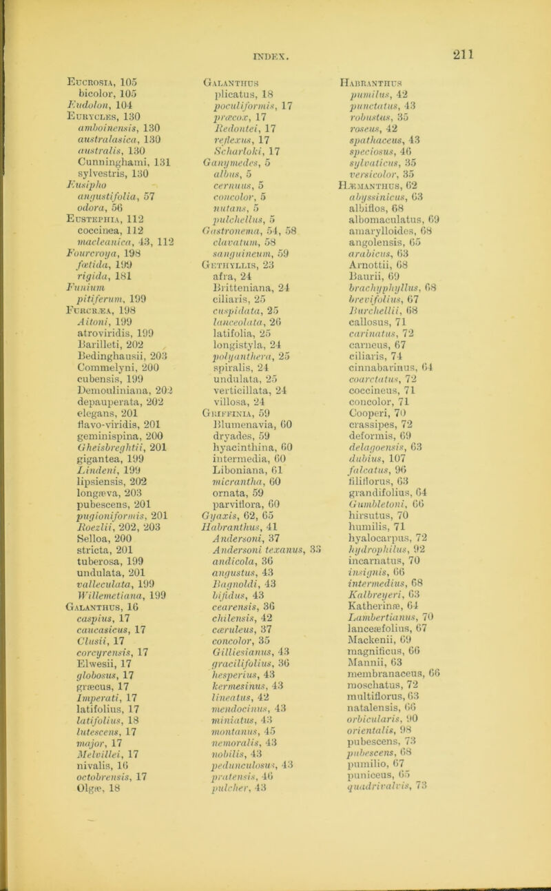 Eucrosia, 105 bicolor, 105 F.udolon, 104 Eurycles, 130 amboinensis, 130 australasica, 130 australis, 130 Cunninghami, 131 sylvestris, 130 Eusiplio angustifolia, 57 odora, 56 Eustephia, 112 coccinea, 112 macleanica, 43, 112 Fourcroya, 108 faitida, 103 rigida, 181 Fu ilium pitiferum, 139 Fcrcr.ea, 198 Aitoni, 199 atroviridis, 199 Barilleti, 202 Bedinghausii, 203 Commelyni, 200 cubensis, 199 Demouliniana, 203 depauperata, 202 elegans, 201 flavo-viridis, 201 geminispina, 200 Gheisbreghtii, 201 gigantea, 199 Lindeni, 199 lipsiensis, 202 longreva, 203 pubescens, 201 pugioniforiuis, 201 Roezlii, 202, 203 Selloa, 200 stricta, 201 tuberosa, 199 undulata, 201 valleculata, 199 Willemctiana, 199 Galanthus, 16 caspius, 17 caucasicus, 17 Clusii, 17 corcyrensis, 17 Elwesii, 17 globosus, 17 grsecus, 17 Imperati, 17 latifolius, 17 latifolius, 18 lutescens, 17 major, 17 Melvillei, 17 nivalis, 16 octobrensis, 17 Olga?, 18 Galanthus plicatus, 18 poculiformis, 17 prcecox, 17 lledontei, 17 rejlcxus, 17 Scharloki, 17 Ganymedes, 5 albus, 5 ceriums, 5 concolor, 5 nutans, 5 jiulchellus, 5 Gastronema, 54, 58 clavatum, 58 sanguineum, 59 Getiiyllis, 23 afra, 24 Britteniana, 24 ciliaris, 25 cuspidata, 25 lanceolata, 26 latifolia, 25 longistyla, 24 polyanthera, 25 spiralis, 24 undulata, 25 verticillata, 24 villosa, 24 Giuffinia, 59 Blumenavia, 60 dryades, 59 hyacinthina, 60 intermedia, 60 Liboniana, 61 micrantha, 60 ornata, 59 parviflora, 60 Gyaxis, 62, 65 Iidbranthus, 41 Andersoni, 37 Andersoni texanus, 33 andicola, 36 angustus, 43 Bagnoldi, 43 bijidus, 43 cearensis, 36 chilensis, 42 caruleus, 37 concolor, 35 Gilliesianus, 43 gracilifolius, 36 hesperius, 43 kcrmesinus, 43 lineatus, 42 mendocinus, 43 miniatus, 43 montanus, 45 nemoralis, 43 nobilis, 43 pedunculosus, 43 pratensis, 46 pulclier, 43 Habranthus ]i until its, 42 punctatus, 43 robustus, 35 roseus, 42 spathaceus, 43 speciosus, 46 sylvaticus, 35 versicolor, 35 H.emantiius, 62 abyssinicus, 63 albiflos, 68 albomaculatus, 69 amarylloidcs, 68 angolensis, 65 arabicus, 63 Arnottii, 68 Baurii, 69 brachyphyllus, 68 brevifolius, 67 lhvrchellii, 68 callosus, 71 carinatus, 72 carneus, 67 ciliaris, 74 cinnabarinus, 64 coarctatus, 72 coecineus, 71 concolor, 71 Cooperi, 70 crassipes, 72 deformis, 69 delagoensis, 63 dub ius, 107 falcatus, 96 filitlorus, 63 grandifolius, 64 Gumbletoni, 66 hirsutus, 70 humilis, 71 hyalocarpus, 72 hydrophilus, 92 incarnatus, 70 insignis, 66 intermedins, 68 Kalbreyeri, 63 Katherinre, 64 Lambertianus, 70 lancetEfolius, 67 Mackenii, 69 magnificus, 66 Mannii, 63 membranaceus, 66 moschatus, 72 multiflorus, 63 natalensis, 66 orbicularis, 90 orientalis, 98 pubescens, 73 pubescens, 68 pumilio, 67 puniceus, 65 quadriralvis, 73