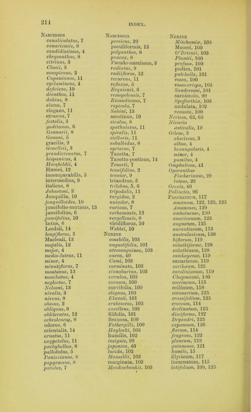 INDEX. Narcissus canaliculatus, 7 canariensis, 8 candidissimus, 4 chrysanthus, 8 citrinus, 3 Clusii, 3 conspicuus, 2 Cupanianus, 11 cyclamineus, 4 dejiciens, 10 dianthos, 11 dubiiis, 8 elatiis, 7 elegans, 11 etruscus, 7 festalis, 3 gaditanus, 6 Gennarii, 8 Gouani, 5 gracilis, 9 Graellsn, 3 /yrandicrenatus, 7 hispanicus, 4 Horsfieldii, 4 Humei, 12 incomparabilis, 5 intermedius, 9 italicus, 8 Johnstoni, 3 Jonquilla, 10 jonquilloides, 10 juncifolio-muticus, 13 juncifolius, 6 juncifolius, 10 ketus, 6 Leedsii, 14 longijlorus, 5 Macleaii, 13 majalis, 12 major, 4 medio-luteus, 11 minor, 4 minutiflorus, 7 montanus, 13 moschatus, 4 neglectus, 7 Nelsoni, 13 nivalis, 3 niveus, 8 obesiis, 2 ohliquus, 8 obliteratus, 12 ochroleucus, 8 odorus, 6 orientalis, 14 ornatus, 11 oxypetalus, 11 pachybolbos, 8 pallidulus, 5 Panizzianus, 8 papyraceus, 8 patulus, 7 Narcissus persicus, 29 poculii'ormis, 13 polyanthos, 8 p rcecox, 8 1‘seudo-narcissus, 3 radiatus, 9 radiiflorus, 12 recurvus, 11 reflex us, 5 llequienii, G remopolensis, 7 Ricasoliauus, 7 rupicola, 7 Sabini, 13 serotinus, 10 si cuius, 8 spatlndatus, 11 spiralis, 11 stellar is, 11 subalbidus, 8 syriacus, 7 Tazetta, 7 Tazetto-poeticus, 14 Tenorii, 7 tenuifolius, 2 tenuior, 9 triandrus, 5 trilobus, 5, G tripodalis, 11 turyidus, 2 unicolor, 8 various, 7 verbanensis, 12 veryellensis, 8 viridiflorus, 10 Webbii, 10 Nerine amabilis, 103 angustifolia, 101 atrosanguinea, 103 aurea, 40 Garni, 103 carniinata, 103 cinnabanna, 103 ccerulea, 103 corusca, 100 curvifolia, 100 elegans, 103 FAwesii, 101 erubescens, 103 ex cellens, 103 filifolia, 101 fiexuosa, 100 Fothergiili, 100 Haylocki, 103 humilis, 102 insignis, 99 japonica, 40 lucida, 102 Manscllii, 103 marginata, 102 Meadowbankii, 103 Nerine Mitchamice, 103 Moorei, 100 O'Brienii, 103 Plantii, 100 profusa, 100 pudica, 101 pulchella, 101 rosea, 100 roseo-crispa, 103 Sandersoni, 101 sarniensis, 99 Spojforthice, 103 undulata, 102 venusta, 100 Nerissa, 62, G3 Nivaria cestivalis, 19 Oileus, 3 abscissas, 3 albus, 4 hexangularis, 4 minor, 4 pumilus, 4 Omphalissa, 41 Oporanthus Fischerianus, 29 luteus, 29 Orexis, 40 Palinetes, 9G Pancratium, 117 anwenum, 122, 123, 125 Amancaes, 129 amboinense, 130 americanum, 123 angustum, 125 aurantiacum, 113 australasicum, 130 biflorum, 119 calathifonne, 128 calathimnn, 128 cambayense, 119 canariense, 119 caribamm, 125 carolinianum, 119 Chapimnni, 120 coccineum, 115 collinum, 118 corona rium, 125 crassifolium, 125 croceum, 114 declinatum, 125 disciforme, 127 Dryandri, 123 expansion, 12G flavum, 114 fragrans, 122 glaucum, 123 guianense, 121 bundle, 15 illyricum, 117 incarnatum, 115 latifolium, 109, 125