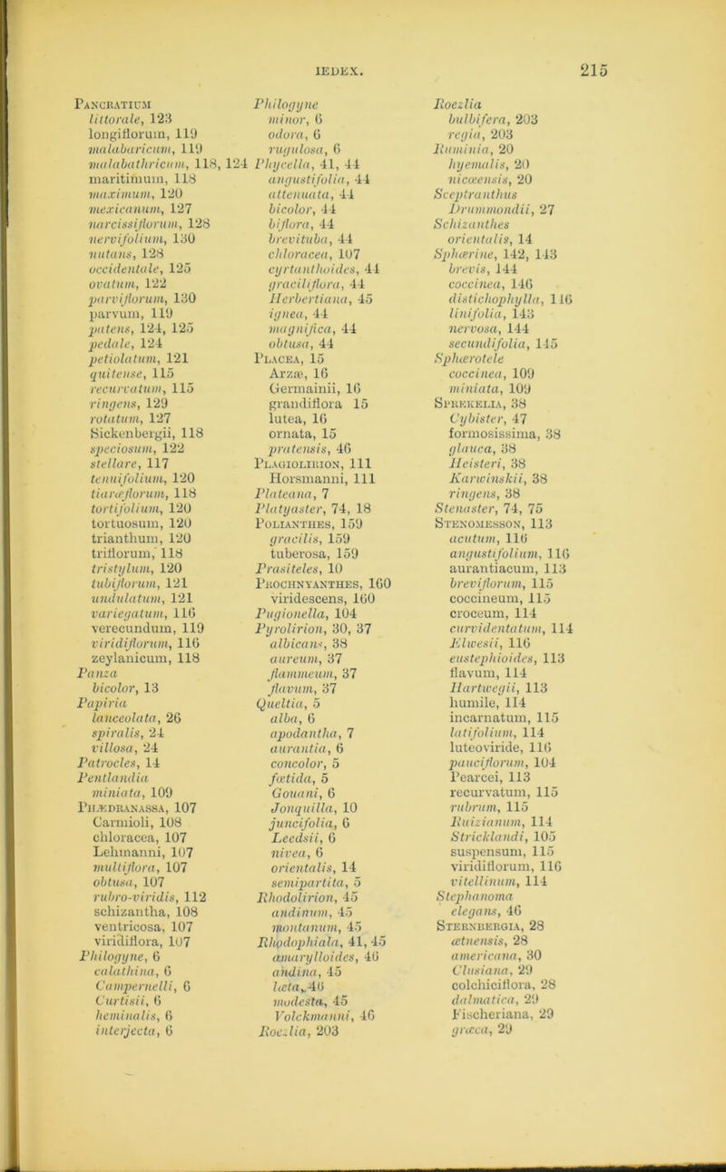 Panciiaticm littorale, 12 3 longifloruin, 119 malabaricum, 119 malabathricum, 118, 124 maritimum, 118 maximum, 120 mexicanum, 127 naxcissiflorum, 128 nervifolium, 180 nutans, 128 occidentale, 125 ovatum, 122 pan'iflorum, 180 parvum, 119 patens, 124, 125 pedale, 124 petiolatum, 121 quite use, 115 Philogyne minor, 0 odora, 6 rugulosa, 6 Plug cello, 41, 44 angustifolia, 44 attenuate,, 44 bicolor, 44 biflora, 44 brevituba, 44 cltloracea, 107 cijrtanthoides, 44 grac'diflora, 44 Herbertiaua, 45 ignea, 44 magniflca, 44 obtusa, 44 Place a, 15 Arzae, 16 recurvatum, 115 Germainii, 16 ringens, 129 grandiflora 15 rotatum, 127 lutea, 16 Sicken bergii, 118 ornata, 15 speciosum, 122 pratensis, 46 stellare, 117 Plagiolieion, 111 tenuifolium, 120 Horsmanni, 111 tianeflorum, 118 Plateana, 7 tortifolium, 120 Platyaster, 74, 18 tortuosum, 120 POLIANTHES, 159 trianthum, 120 gracilis, 159 triliorum, 118 tuberosa, 159 tristylum, 120 Prasiteles, 10 tubiflorum, 121 PilO C H N Y AN THE s, 160 undulatum, 121 viridescens, 160 variegatum, 116 Pugionella, 104 verecundum, 119 Pyrolirion, 30, 37 viridiflorum, 116 albicans, 38 zeylanicum, 118 aureum, 37 Panza flammeum, 37 bicolor, 13 flavum, 37 Papiria Queltia, 5 laneeolata, 26 alba, 6 spiralis, 24 apodantha, 7 villosa, 24 aurantia, 6 Patrocles, 14 concolor, 5 Pentlandia feetida, 5 miniata, 109 Gouani, 6 Pjledranassa, 107 Jonquilla, 10 Carmioli, 108 juncifolia, 6 ckloracea, 107 Leedsii, 6 Lelnnanni, 107 nivea, 6 multiflora, 107 orientalis, 14 obtusa, 107 semipartita, 5 rubro-viridis, 112 Rhodolinon, 45 schizantha, 108 andinum, 45 ventricosa, 107 montanum, 45 viridifiora, 107 Rhodophicila, 41, 45 Philogyne, 6 aaiuirxylloid.es, 46 ealathina, 6 a'ndina, 45 Campernelli, 6 hctay4(i Curtisii, 6 modesta, 45 heminalis, 6 Volckmanni, 46 interjccta, 6 Roc-lia, 203 Poezlia bulbifera, 203 regia, 203 Ruminia, 20 hyeuuilis, 20 nicceensis, 20 Sceptranthns Drummondii, 27 Schizanthes orientalis, 14 Splicer ine, 142, 143 brevis, 144 coccinea, 146 disticliophylla, 116 linifolia, 143 nervosa, 144 secundifolia, 145 Sphcerotele coccinea, 109 miniata, 109 Sl’REKELIA, 38 Cybister, 47 formosissima, 38 glauca, 38 lleisteri, 38 Karwinskii, 38 ringens, 38 Stenaster, 74, 75 Stenomesson, 113 acutum, 116 ang ust tfoli urn, 116 aurantiacum, 113 breviflorum, 115 coccineum, 115 croceum, 114 curvidentatum, 114 Elwesii, 116 eustepliioides, 113 Oavum, 114 Uartwegii, 113 humile, 114 incarnatum, 115 latifolium, 114 luteoviride, 116 pauciflorum, 104 Pearcei, 113 recurvatum, 115 rubrum, 115 lluizianum, 114 Stricldandi, 105 suspensum, 115 viridiflorum, 116 vitellinum, 114 Stephanoma elegant, 46 SxERKBERGIA, 28 cetnensis, 28 americana, 30 Clusiana, 29 colchicifiora, 28 dalmatica, 29 Fischeriana, 29 graca, 29