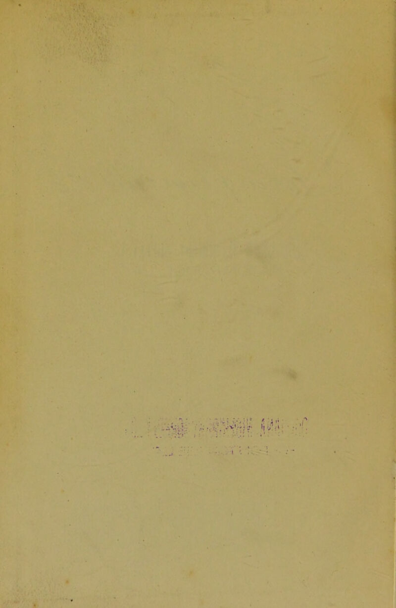 ) ..s,- 1 I \ 4 / ■4 •I ‘ . './■- .V 1