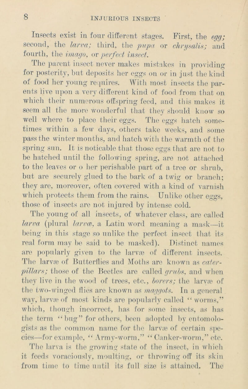 Insects exist in four different stages. First, the egg; second, the larva; third, the pupa or chrysalis; and fourth, the imago, or perfect insect. The parent insect never makes mistakes in providing for posterity, hut deposits her eggs on or in just the kind of food her young requires. With most insects the par- ents live upon a very different kind of food from that on which their numerous offspring feed, and this makes it seem all the more wonderful that they should know so well where to place their eggs. The eggs hatch some- times within a few days, others take weeks, and some pass the winter months, and hatch with the warmth of the spring sun. It is noticable that those eggs that are not to be hatched until the following spring, are not attached to the leaves or o her perishable part of a tree or shrub, but are securely glued to the bark of a twig or branch; they are, moreover, often covered with a kind of varnish which protects them from the rains. Unlike other eggs, those of insects are not injured by intense cold. The young of all insects, of whatever class, are called larva (plural larvce, a Latin word meaning a mask—it being in this stage so unlike the perfect insect that its real form may be said to be masked). Distinct names are popularly given to the larvae of different insects. The larvae of Butterflies and Moths are known as cater- pillars; those of the Beetles are called grubs, and when they live in the wood of trees, etc., borers; the larvae of the two-winged flies are known as maggots. In a general way, larvae of most kinds are popularly called “ worms.” which, though incorrect, has for some insects, as has the term “bug” for others, been adopted by entomolo- gists as the common name for the larvae of certain spe- cies—for example, “ Army-worm,” “ Canker-worm,” etc. The larva is the growing state of the insect, in which it feeds voraciously, moulting, or throwing off its skin from time to time until its full size is attained. The