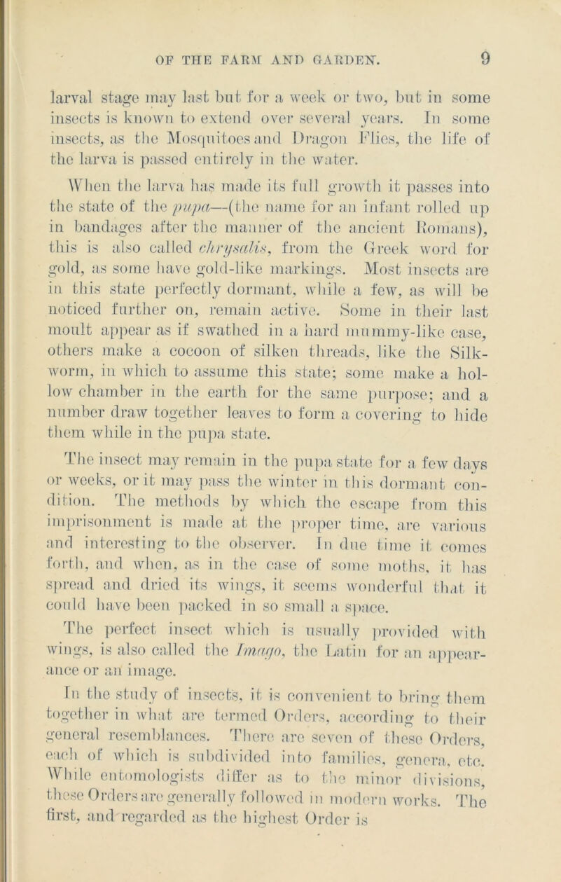 larval stage may last but for a week or two, but in some insects is known to extend over several years. In some insects, as the Mosquitoes and Dragon Flies, the life of the larva is passed entirely in the water. When the larva has made its full growth it passes into the state of the pupa—(the name for an infant rolled up in bandages after the manner of the ancient Romans), this is also called chrysalis, from the Greek word for gold, as some have gold-like markings. Most insects are in this state perfectly dormant, while a few, as will be noticed further on, remain active. Some in their last moult appear as if swathed in a hard mummy-like case, others make a cocoon of silken threads, like the Silk- worm, in which to assume this state; some make a hol- low chamber in the earth for the same purpose; and a number draw together leaves to form a covering to hide them while in the pupa state. The insect may remain in the pupa state for a few days or weeks, or it may pass the winter in this dormant con- dition. The methods by which the escape from this imprisonment is made at the proper time, are various and interesting to the observer. In due time it comes forth, and when, as in the case of some moths, it has spread and dried its wings, it seems wonderful that it could have been packed in so small a, space. The perfect insect which is usually provided with wings, is also called the Imago, the Latin for an appear- ance or an ima^e. In the study of insects, it is convenient to bring them together in what are termed Orders, according to their general resemblances. There are seven of these Orders each of which is subdivided into families, genera, etc. While entomologists differ as to the minor divisions, these Orders are generally followed in modern works. The first, and regarded as the highest Order is