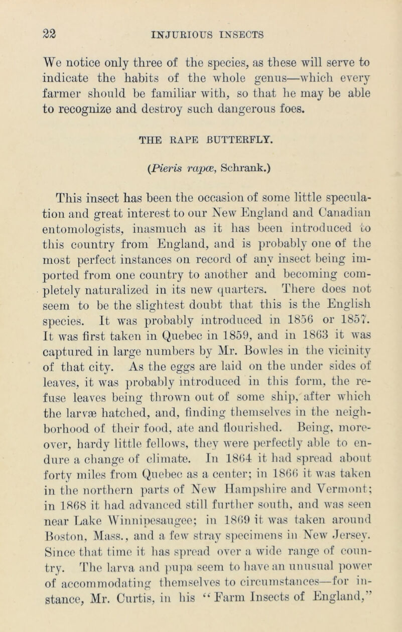 We notice only three of the species, as these will serve to indicate the habits of the whole genus—which every farmer should be familiar with, so that he may be able to recognize and destroy such dangerous foes. THE RAPE BUTTERFLY. (Pieris rapce, Schrank.) This insect has been the occasion of some little specula- tion and great interest to our New England and Canadian entomologists, inasmuch as it has been introduced to this country from England, and is probably one of the most perfect instances on record of any insect being im- ported from one country to another and becoming com- pletely naturalized in its new quarters. There does not seem to be the slightest doubt that this is the English species. It was probably introduced in 1856 or 1857. It was first taken in Quebec in 1859, and in 1863 it was captured in large numbers by Mr. Bowles in the vicinity of that city. As the eggs are laid on the under sides of leaves, it was probably introduced in this form, the re- fuse leaves being thrown out of some ship/after which the larvae hatched, and, finding themselves in the neigh- borhood of their food, ate and flourished. Being, more- over, hardy little fellows, they were perfectly able to en- dure a change of climate. In 1864 it had spread about forty miles from Quebec as a center; in 1866 it was taken in the northern parts of New Hampshire and Vermont; in 1868 it had advanced still further south, and was seen near Lake Winnipesaugee; in 1869 it was taken around Boston, Mass., and a few stray specimens in New Jersey. Since that time it has spread over a wide range of coun- try. The larva and pupa seem to have an unusual power of accommodating themselves to circumstances—for in- stance, Mr. Curtis, in his “ Farm Insects of England,