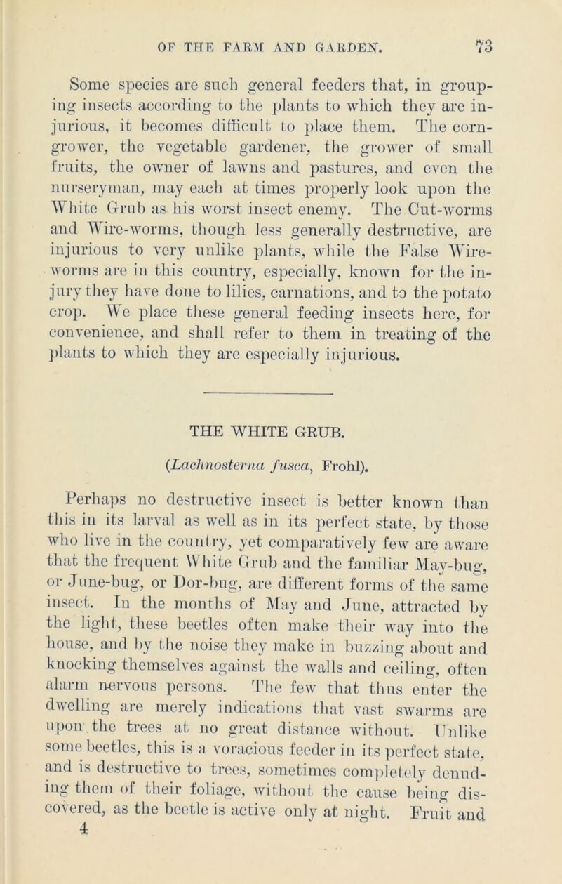 Some species are such general feeders that, in group- ing insects according to the plants to which they are in- jurious, it becomes difficult to place them. The corn- grower, the vegetable gardener, the grower of small fruits, the owner of lawns and pastures, and even the nurseryman, may each at times properly look upon the White Grub as his worst insect enemy. The Cut-worms and ire-worms, though less generally destructive, are injurious to very unlike plants, while the False Wire- worms are in this country, especially, known for the in- jury they have done to lilies, carnations, and to the potato crop. We place these general feeding insects here, for convenience, and shall refer to them in treating of the plants to which they are especially injurious. THE WHITE GRUB. (Lachnosterna fusca, Frolil). Perhaps no destructive insect is better known than this in its larval as well as in its perfect state, by those who live in the country, yet comparatively few are aware that the frequent W bite Grub and the familiar May-bug, or June-bug, or Dor-bug, are different forms of the same insect. In the months of May and June, attracted by the light, these beetles often make their way into the house, and by the noise they make in buzzing about and knocking themselves against the walls and ceiling, often alarm nervous persons. The few that thus enter the dwelling are merely indications that vast swarms are upon the trees at no great distance without. Unlike some beetles, this is a voracious feeder in its perfect state, and is destructive to trees, sometimes completely denud- ing them of their foliage, without the cause being dis- covered, as the beetle is active only at night. Fruit and