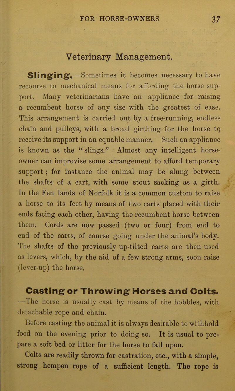 Veterinary Management. Slinging. —Sometimes it becomes necessary to have recourse to mechanical means for affording the horse sup- port. Many veterinarians have an appliance for raising a recumbent horse of any size with the greatest of ease. This arrangement is carried out by a free-running, endless chain and pulleys, with a broad girthing for the horse to receive its support in an equable manner. Such an appliance is known as the “slings.” Almost any intelligent horse-' owner can improvise some arrangement to afford temporary support; for instance the animal may be slung between the shafts of a cart, with some stout sacking as a girth. In the Fen lands of Norfolk it is a common custom to raise a horse to its feet by means of two carts placed with their ends facing each other, having the recumbent horse between them. Cords are now passed (two or four) from end to end of the carts, of course going under the animal’s body. The shafts of the previously up-tilted carts are then used as levers, which, by the aid of a few strong arms, soon raise (lever-up) the horse. Casting or Throwing Horses and Colts. —The horse is usually cast by means of the hobbles, with detachable rope and chain. Before casting the animal it is always desirable to withhold food on the evening prior to doing so. It is usual to pre- pare a soft bed or litter for the horse to fall upon. Colts are readily thrown for castration, etc., with a simple, strong hempen rope of a sufficient length. The rope is