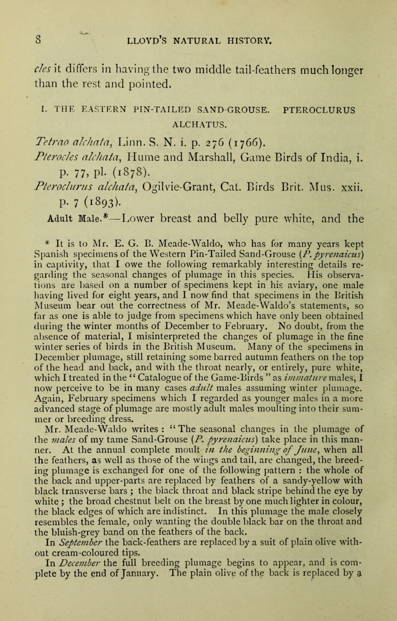 cles\t differs in liavingthe two middle tail-feathers much longer than the rest and pointed. I. THE EASTERN PIN-TAILED SAND-GROUSE. PTEROCLURUS ALCHATUS. Tetrno a/r/infa, Linn. S. N. i. p. 276 (1766). Pterocles alchaia, Hume and Marshall, Game Birds of India, i. p. 77, pi. (1S78). Pteroclurus alcha/a, Ogilvie-Grant, Cat. Birds Brit. Mus. xxii. P- 7 (1893). Adult Mule.*—Lower breast and belly pure white, and the * It is to Mr. E. G. B. Meade-Waldo, who has for many years kept SpanLsh specimens of the Western Pin-Tailed Sand-Grouse [P.pyrenaicus) in captivdty, that I owe the following remarkably interesting details re- garding the seasonal changes of plumage in this species. His observa- tions are based on a number of specimens kept in his aviary, one male having lived for eight years, and I now find that specimens in the British Museum bear out the correctness of Mr. Meade-Waldo’s statements, so far as one is able to judge from specimens which have only been obtained during the winter months of December to February. No doubt, from the absence of material, I misinterpreted the changes of plumage in the fine winter series of birds in the British Museum. Many of the specimens in December plumage, still retaining some barred autumn feathers on the top of the head and back, and with the throat nearly, or entirely, pure white, which I treated in the “ Catalogue of the Game-Birds ” as males, I now perceive to be in many cases adult males assuming winter plumage. Again, P'ebruary specimens which I regarded as younger males in a more advanced stage of plumage are mostly adult males moulting into their sum- mer or breeding dress. Mr. Meade-Waldo writes : “ The seasonal changes in the plumage of the males of my tame Sand-Grouse {P. pyrenaicus) take place in this man- ner. At the annual complete moult in the beginning of June, when all the feathers, as well as those of the wings and tail, are changed, the breed- ing plumage is exchanged for one of the following pattern : the whole of the back and upper-parts are replaced by feathers of a sandy-yellow with black transverse bars ; the black throat and black stripe behind the eye by white ; the broad chestnut belt on the breast by one much lighter in colour, the black edges of which are indistinct. In this plumage the male closely resembles the female, only wanting the double black bar on the throat and the bluish-grey band on the feathers of the back. In September the back-feathers are replaced by a suit of plain olive with- out cream-coloured tips. In December the full breeding plumage begins to appear, and is com- plete by the end of January. The plain olive of the back is replaced by a