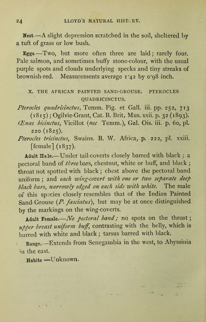 Nest.—A slight depression scratched in the soil, sheltered by a tuft of grass or low bush. Eggs.—Two, but more often three are laid; rarely four. Pale salmon, and sometimes buffy stone-colour, with the usual purple spots and clouds underlying specks and tiny streaks of brownish-red. Measurements average i’42 by 0*98 inch. X. THE AFRICAN PAINTED SAND-GROUSE. PTEROCLES QUADRICINCTUS. Pterodes quadricinctus, Temm. Pig. et Gall. iii. pp. 252, 713 (1815); Ogilvie-Grant, Cat. B. Brit. Mus. xxii. p. 32 (1893). Ginas bicinctus^ Vieillot {nec Temm.), Gal. Ois. iii. p. 60, pi. 220 (1825). Pterodes tridndus^ Swains. B. W. Africa, p. 222, pi. xxiii. [female] (1837). Adult Male.—Under tail-coverts closely barred with black ; a pectoral band of //^r^^bars, chestnut, white or buff, and black ; throat not spotted with black; chest above the pectoral band uniform ; and each wing-covert with one or tivo separate deep black bars, narrowly edged on each side with white. The male of this species closely resembles that of the Indian Painted Sand-Grouse (/’. fasciatus), but may be at once distinguished by the markings on the wing-coverts. Adult Female.—No pectoral band; no spots on the throat; upper breast uniform buff, contrasting with the belly, which is barred with white and black; tarsus barred with black. , Range.—Extends from Senegambia in the west, to Abyssinia ■'ll the east. Hal)its —Unknown.
