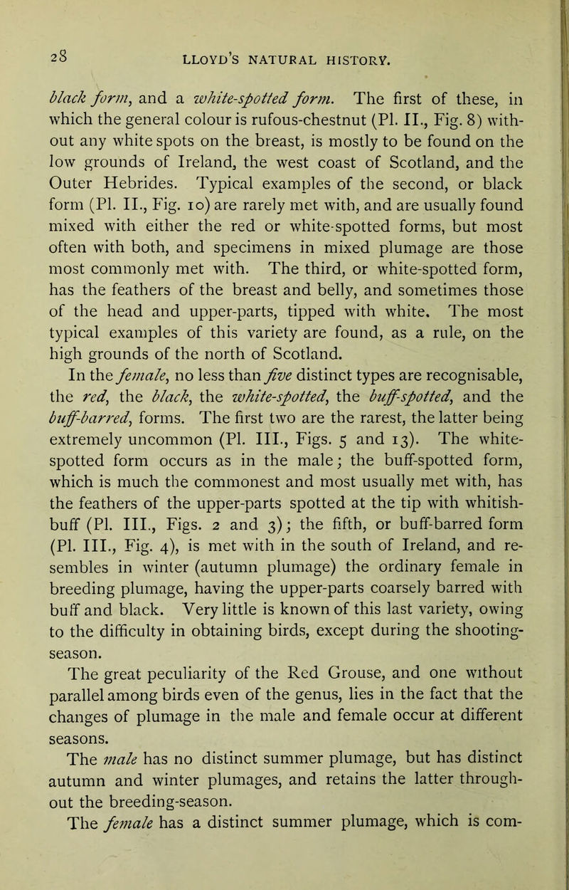 black form, and a white-spotted form. The first of these, in which the general colour is rufous-chestnut (PI. II., Fig. 8) with- out any white spots on the breast, is mostly to be found on the low grounds of Ireland, the west coast of Scotland, and the Outer Hebrides. Typical examples of the second, or black form (PI. II., Fig. lo) are rarely met with, and are usually found mixed with either the red or white-spotted forms, but most often with both, and specimens in mixed plumage are those most commonly met with. The third, or white-spotted form, has the feathers of the breast and belly, and sometimes those of the head and upper-parts, tipped with white. The most typical examples of this variety are found, as a rule, on the high grounds of the north of Scotland. In the female, no less than five distinct types are recognisable, the red, the black, the white-spotted, the buff-spotted, and the buff-barred, forms. The first two are the rarest, the latter being extremely uncommon (PI. III., Figs. 5 and 13). The white- spotted form occurs as in the male; the buff-spotted form, which is much the commonest and most usually met with, has the feathers of the upper-parts spotted at the tip with whitish- buff (PI. IIP, Figs. 2 and 3); the fifth, or buff-barred form (PI. III., Fig. 4), is met with in the south of Ireland, and re- sembles in winter (autumn plumage) the ordinary female in breeding plumage, having the upper-parts coarsely barred with buff and black. Very little is known of this last variety, owing to the difficulty in obtaining birds, except during the shooting- season. The great peculiarity of the Red Grouse, and one without parallel among birds even of the genus, lies in the fact that the changes of plumage in tlie male and female occur at different seasons. The male has no distinct summer plumage, but has distinct autumn and winter plumages, and retains the latter through- out the breeding-season. The female has a distinct summer plumage, which is com-