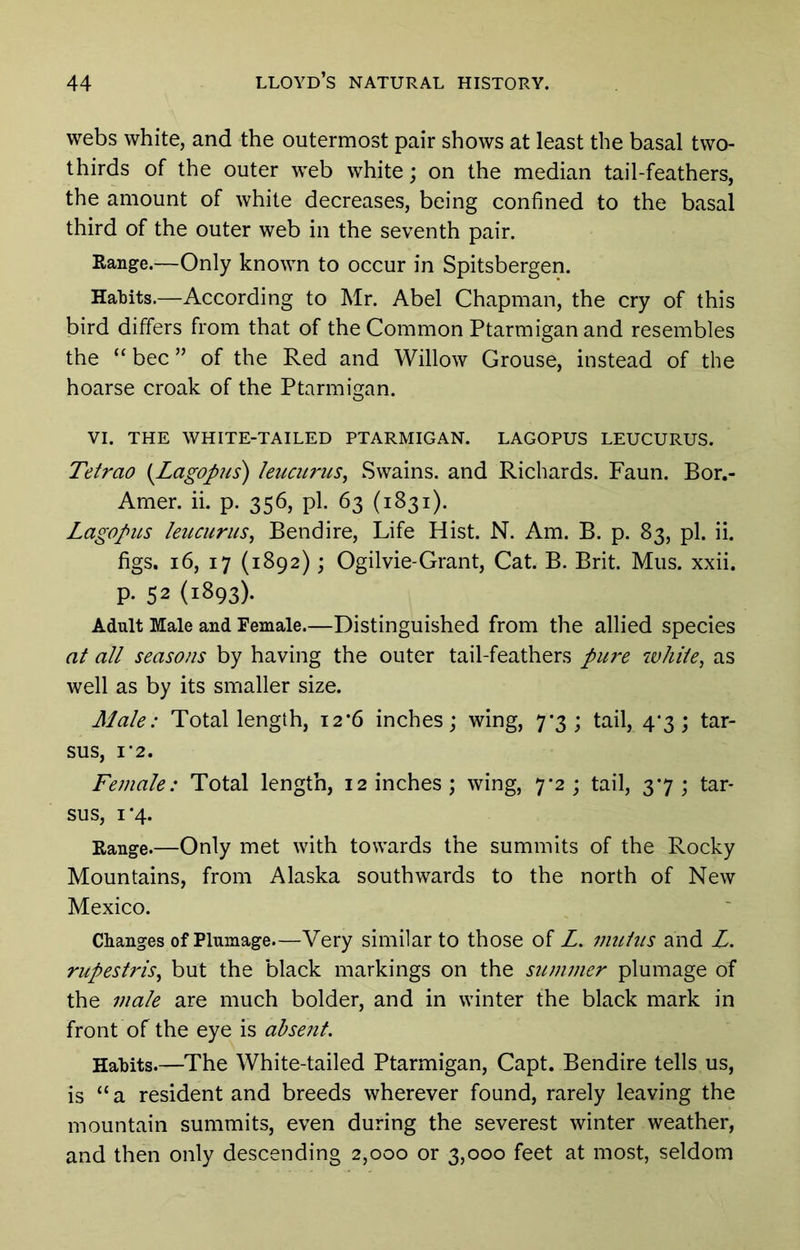 webs white, and the outermost pair shows at least the basal two- thirds of the outer web white; on the median tail-feathers, the amount of white decreases, being confined to the basal third of the outer web in the seventh pair. Range.—Only known to occur in Spitsbergen. Hatits.—According to Mr. Abel Chapman, the cry of this bird differs from that of the Common Ptarmigan and resembles the “bee” of the Red and Willow Grouse, instead of the hoarse croak of the Ptarmigan. VI. THE white-tailed PTARMIGAN. LAGOPUS LEUCURUS. Tetrao {Lagopus) leucuruSj Swains, and Richards. Faun. Bor.- Amer. ii. p. 356, pi. 63 (1831). Lagopus leucurus^ Bendire, Life Hist. N. Am. B. p. 83, pi. ii. figs. 16, 17 (1892); Ogilvie-Grant, Cat. B. Brit. Mus. xxii. p. 52 (1893). Adult Male and Female.—Distinguished from the allied species at all seasons by having the outer tail-feathers pure ivhiie^ as well as by its smaller size. Male: Total length, 12*6 inches; wing, 7*3; tail, 4*3; tar- sus, I’2. Female: Total length, 12 inches; wing, 7-2; tail, 37; tar- sus, 1*4. Range.—Only met with towards the summits of the Rocky Mountains, from Alaska southwards to the north of New Mexico. Changes of Plumage—Very similar to those of Z. imilus and L. rupesU'is^ but the black markings on the summer plumage of the male are much bolder, and in winter the black mark in front of the eye is absent. Hahits.—The White-tailed Ptarmigan, Capt. Bendire tells us, is “a resident and breeds wherever found, rarely leaving the mountain summits, even during the severest winter weather, and then only descending 2,000 or 3,000 feet at most, seldom