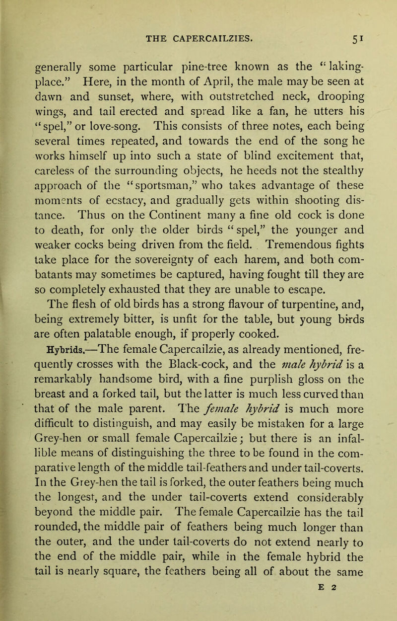 generally some particular pine-tree known as the “ laking- place.” Here, in the month of April, the male may be seen at dawn and sunset, where, with outstretched neck, drooping wings, and tail erected and spread like a fan, he utters his “spel,”or love-song. This consists of three notes, each being several times repeated, and towards the end of the song he works himself up into such a state of blind excitement that, careless of the surrounding objects, he heeds not the stealthy approach of the “sportsman,” who takes advantage of these moments of ecstacy, and gradually gets within shooting dis- tance. Thus on the Continent many a fine old cock is done to death, for only the older birds “ spel,” the younger and weaker cocks being driven from the field. Tremendous fights take place for the sovereignty of each harem, and both com- batants may sometimes be captured, having fought till they are so completely exhausted that they are unable to escape. The flesh of old birds has a strong flavour of turpentine, and, being extremely bitter, is unfit for the table, but young birds are often palatable enough, if properly cooked. Hybrids.—The female Capercailzie, as already mentioned, fre- quently crosses with the Black-cock, and the male hybrid is a remarkably handsome bird, with a fine purplish gloss on the breast and a forked tail, but the latter is much less curved than that of the male parent. The female hybrid is much more difficult to distinguish, and may easily be mistaken for a large Grey-hen or small female Capercailzie; but there is an infal- lible means of distinguishing the three to be found in the com- parative length of the middle tail-feathers and under tail-coverts. In the Grey-hen the tail is forked, the outer feathers being much the longest, and the under tail-coverts extend considerably beyond the middle pair. The female Capercailzie has the tail rounded, the middle pair of feathers being much longer than the outer, and the under tail-coverts do not extend nearly to the end of the middle pair, while in the female hybrid the tail is nearly square, the feathers being all of about the same E 2