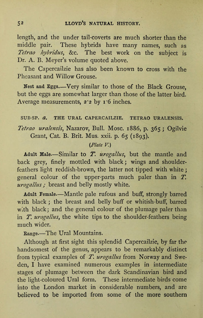 length, and the under tail-coverts are much shorter than the middle pair. These hybrids have many names, such as Tetrao hyhridus^ &c. The best work on the subject is Dr. A. B. Meyer’s volume quoted above. The Capercailzie has also been known to cross with the Pheasant and Willow Grouse. Nest and Eggs—Very similar to those of the Black Grouse, but the eggs are somewhat larger than those of the latter bird. Average measurements, 2*2 by i*6 inches. SUB-SP. a. THE URAL CAPERCAILZIE. TETRAO URALENSIS. Tetrao uralensis^ Nazarov, Bull. Mosc. 1886, p. 365 ; Ogilvie Grant, Cat. B. Brit. Mus. xxii. p. 65 (1893). {Plate V.) Adult Male—Similar to T. urogallus^ but the mantle and back grey, finely mottled with black; wings and shoulder- feathers light reddish-brown, the latter not tipped with white; general colour of the upper-parts much paler than in T, urogallus ; breast and belly mostly white. Adult Female.—Mantle pale rufous and buff, strongly barred with black ; the breast and belly buff or whitish-buff, barred with black; and the general colour of the plumage paler than in T. urogallus^ the white tips to the shoulder-feathers being much wider. Range—The Ural Mountains. Although at first sight this splendid Capercailzie, by far the handsomest of the genus, appears to be remarkably distinct from typical examples of T. urogallus from Norway and Swe- den, I have examined numerous examples in intermediate stages of plumage between the dark Scandinavian bird and the light-coloured Ural form. These intermediate birds come into the London market in considerable numbers, and are believed to be imported from some of the more southern