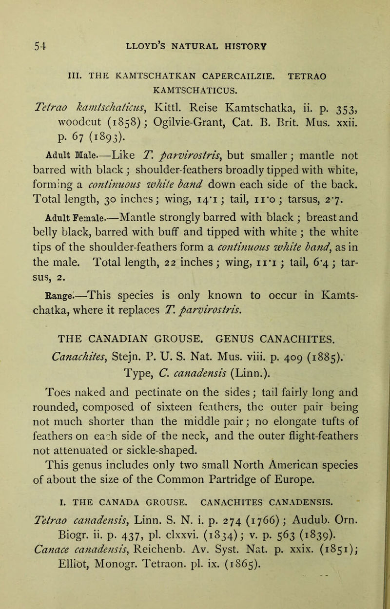 III. THE KAMTSCHATKAN CAPERCAILZIE. TETRAO KAMTSCHATICUS. Tetrao kamtschatkus, Kittl. Reise Kamtschatka, ii. p. 353, woodcut (1858); Ogilvie-Grant, Cat. B. Brit. Mus. xxii. p. 67 (1893). Adult Male—Like T. parvirostris^ but smaller; mantle not barred with black; shoulder-feathers broadly tipped with white, forming a continuous while batid down each side of the back. Total length, 30 inches; wing, 14'! ; tail, ii’o; tarsus, 27. Adult Female.—Mantle strongly barred with black ; breast and belly black, barred with buff and tipped with white ; the white tips of the shoulder-feathers form a continuous white band, as in the male. Total length, 22 inches; wing, ii’i; tail, 6*4 ; tar- sus, 2. Rangei—This species is only known to occur in Kamts- chatka, where it replaces T. parvirostris. THE CANADIAN GROUSE. GENUS CANACHITES. Canachites, Stejn. P. U. S. Nat. Mus. viii. p. 409 (1885). Type, C. canadensis (Linn.). Toes naked and pectinate on the sides; tail fairly long and rounded, composed of sixteen feathers, the outer pair being not much shorter than the middle pair; no elongate tufts of feathers on each side of the neck, and the outer flight-feathers not attenuated or sickle-shaped. This genus includes only two small North American species of about the size of the Common Partridge of Europe. I. THE CANADA GROUSE. CANACHITES CANADENSIS. Tetrao canadeiisis, Linn. S. N. i. p. 274 (1766); Audub. Orn. Biogr. ii. p. 437, pi. clxxvi. (1834); v. p. 563 (1839). Canace ca7iadefisis,'R.Q.\chQ\\h. Av. Syst. Nat. p. xxix. (1851); Elliot, Monogr. Tetraon. pi. ix. (1865).