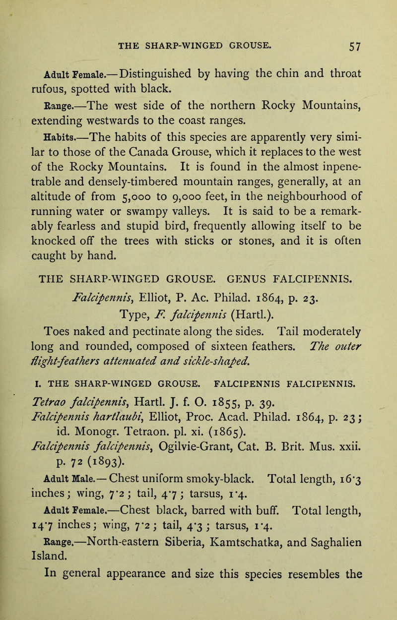 Adult Female.—Distinguished by having the chin and throat rufous, spotted with black. Range.—The west side of the northern Rocky Mountains, extending westwards to the coast ranges. Habits—The habits of this species are apparently very simi- lar to those of the Canada Grouse, which it replaces to the west of the Rocky Mountains. It is found in the almost inpene- trable and densely-timbered mountain ranges, generally, at an altitude of from 5,000 to 9,000 feet, in the neighbourhood of running water or swampy valleys. It is said to be a remark- ably fearless and stupid bird, frequently allowing itself to be knocked off the trees with sticks or stones, and it is often caught by hand. THE SHARP-WINGED GROUSE. GENUS FALCIPENNIS. Falcipennis^ Elliot, P. Ac. Philad. 1864, p. 23. Type, F. falcipennis (Hartl.). Toes naked and pectinate along the sides. Tail moderately long and rounded, composed of sixteen feathers. The outer night-feathers attenuated and sickle-shaped. I. THE SHARP-WINGED GROUSE. FALCIPENNIS FALCIPENNIS. Tetrao falcipennis^ Hartl. J. f. O. 1855, p. 39. Falcipen7tis hartlaubi^ Elliot, Proc. Acad. Philad. 1864, p. 23; id. Monogr. Tetraon. pi. xi. (1865). Falcipennis falcipen7iis^ Ogilvie-Grant, Cat. B. Brit. Mus. xxii. p. 72 (1893). Adult Male.— Chest uniform smoky-black. Total length, 16*3 inches; wing, 7*2; tail, 47; tarsus, 1-4. Adult Female.—Chest black, barred with buff. Total length, 147 inches; wing, 7*2; tail, 4*3; tarsus, 1-4. Range.—North-eastern Siberia, Kamtschatka, and Saghalien Island. In general appearance and size this species resembles the