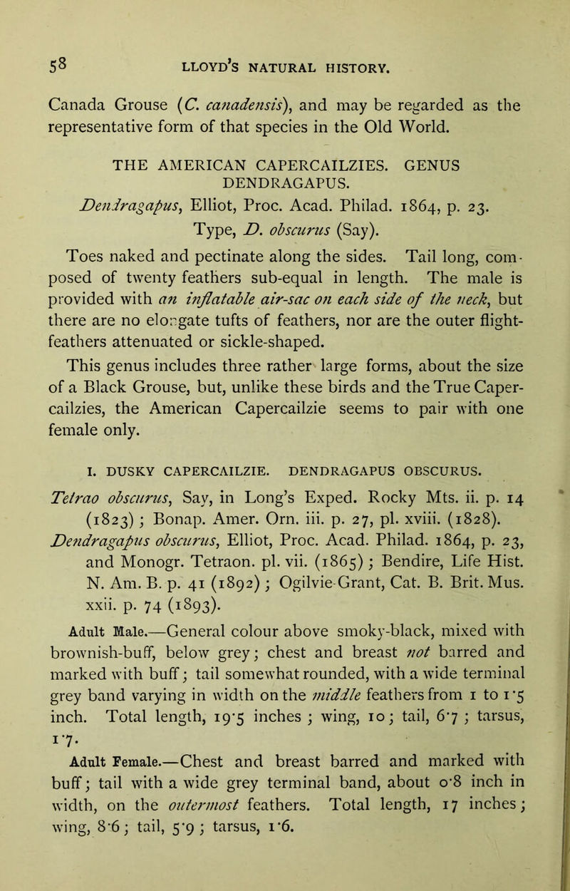 Canada Grouse (C. ca?iade?isis), and may be regarded as the representative form of that species in the Old World. THE AMERICAN CAPERCAILZIES. GENUS DENDRAGAPUS. Deniragapus^ Elliot, Proc. Acad. Philad. 1864, p. 23. Type, D. ohscurus (Say). Toes naked and pectinate along the sides. Tail long, com- posed of twenty feathers sub-equal in length. The male is provided with an inflatable air-sac oti each side of the neck^ but there are no elongate tufts of feathers, nor are the outer flight- feathers attenuated or sickle-shaped. This genus includes three rather large forms, about the size of a Black Grouse, but, unlike these birds and the True Caper- cailzies, the American Capercailzie seems to pair with one female only. I. DUSKY CAPERCAILZIE. DENDRAGAPUS OBSCURUS. Tetrao obsciirus, Say, in Long’s Exped. Rocky Mts. ii. p. 14 (1823); Bonap. Amer. Orn. iii. p. 27, pi. xviii. (1828). Dendragapus ohscurus, Elliot, Proc. Acad. Philad. 1864, p. 23, and Monogr. Tetraon. pi. vii. (1865); Bendire, Life Hist. N. Am. B. p. 41 (1892); Ogilvie Grant, Cat. B. Brit. Mus. xxii. p. 74 (1893). Adult Male.—General colour above smoky-black, mixed with brownish-buff, below grey; chest and breast not barred and marked with buff; tail somewhat rounded, with a wide terminal grey band varying in width on the middle feathers from i to i'5 inch. Total length, 19-5 inches ; wing, 10; tail, 67 ; tarsus, 1'7- Adult Female.—Chest and breast barred and marked with buff; tail with a wide grey terminal band, about o’8 inch in width, on the outermost feathers. Total length, 17 inches; wing, 8-6; tail, 5-9; tarsus, i*6.