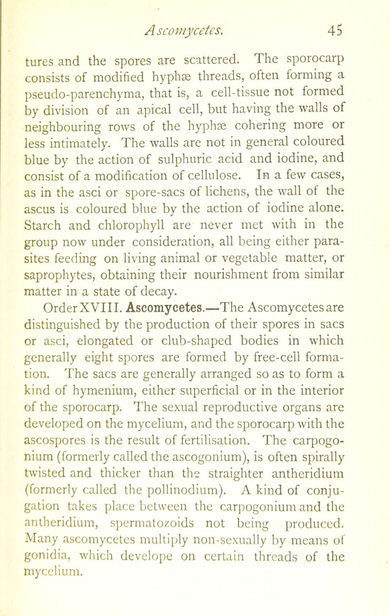 tures and the spores are scattered. The sporocarp consists of modified hyphae threads, often forming a pseudo-parenchyma, that is, a cell-tissue not formed by division of an apical cell, but having the walls of neighbouring rows of the hyphse cohering more or less intimately. The walls are not in general coloured blue by the action of sulphuric acid and iodine, and consist of a modification of cellulose. In a few cases, as in the asci or spore-sacs of lichens, the wall of the ascus is coloured blue by the action of iodine alone. Starch and chlorophyll are never met with in the group now under consideration, all being either para- sites feeding on living animal or vegetable matter, or saprophytes, obtaining their nourishment from similar matter in a state of decay. Order XVI11. Ascomycetes.—The Ascomycetes are distinguished by the production of their spores in sacs or asci, elongated or club-shaped bodies in which generally eight spores are formed by free-cell forma- tion. The sacs are generally arranged so as to form a kind of hymenium, either superficial or in the interior of the sporocarp. The sexual reproductive organs are developed on the mycelium, and the sporocarp with the ascospores is the result of fertilisation. The carpogo- nium (formerly called the ascogonium), is often spirally twisted and thicker than the straighter antheridium (formerly called the pollinodium). A kind of conju- gation takes place between the carpogonium and the antheridium, spermatozoids not being produced. Many ascomycetes multiply non-sexually by means of gonidia, which develope on certain threads of the mycelium.
