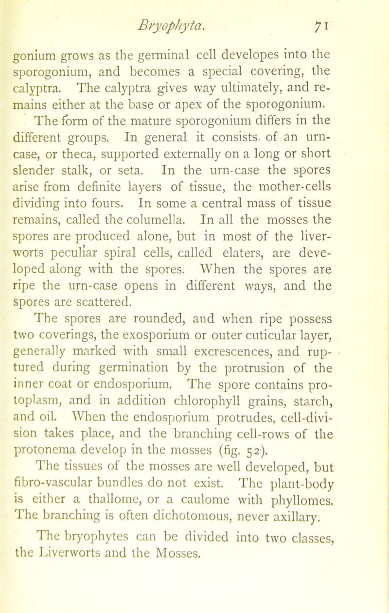 gonium grows as the germinal cell developes into the sporogonium, and becomes a special covering, the calyptra. The calyptra gives way ultimately, and re- mains either at the base or apex of the sporogonium. The form of the mature sporogonium differs in the different groups. In general it consists, of an urn- case, or theca, supported externally on a long or short slender stalk, or seta. In the urn-case the spores arise from definite layers of tissue, the mother-cells dividing into fours. In some a central mass of tissue remains, called the columella. In all the mosses the spores are produced alone, but in most of the liver- worts peculiar spiral cells, called elaters, are deve- loped along with the spores. When the spores are ripe the urn-case opens in different ways, and the spores are scattered. The spores are rounded, and when ripe possess two coverings, the exosporium or outer cuticular layer, generally marked with small excrescences, and rup- tured during germination by the protrusion of the inner coat or endosporium. The spore contains pro- toplasm, and in addition chlorophyll grains, starch, and oil. When the endosporium protrudes, cell-divi- sion takes place, and the branching cell-rows of the protonema develop in the mosses (fig. 52). The tissues of the mosses are well developed, but fibro-vascular bundles do not exist. The plant-body is either a thallome, or a caulome with phyllomes. The branching is often dichotomous, never axillary. The bryophytes can be divided into two classes, the Liverworts and the Mosses.