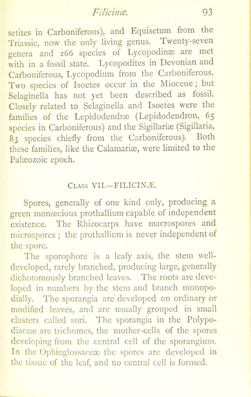 setites in Carboniferous), and Equisetum from the Triassic, now the only living genus. Twenty-seven genera and 266 species of Lycopodinse are met with in a fossil state. Lycopodites in Devonian and Carboniferous, Lycopodium from the Carboniferous. Two species of Isoetes occur in the Miocene; but Selaginella has not yet been described as fossil. Closely related to Selaginella and Isoetes were the families of the Lepidodendrse (Lepidodendron, 65 species in Carboniferous) and the Sigillariae (Sigillaria, 83 species chiefly from the Carboniferous). Both these families, like the Calamariae, were limited to the Palaeozoic epoch. Class VII.—FILICIN/E. Spores, generally of one kind only, producing a green monoecious prothallium capable of independent existence. The Rhizocarps have macrospores and microspores ; the prothallium is never independent of the spore. The sporophore is a leafy axis, the stem well- developed, rarely branched, producing large, generally dichotomously branched leaves. The roots are deve- loped in numbers by the stem and branch monopo- dially. The sporangia are developed on ordinary or modified leaves, and are usually grouped in small clusters called sori. The sporangia in the Polypo- diaceae are trichomes, the mother-cells of the spores developing from the central cell of the sporangium. In the Ophioglossaceae the spores are developed in the tissue of the leaf, and no central cell is formed.