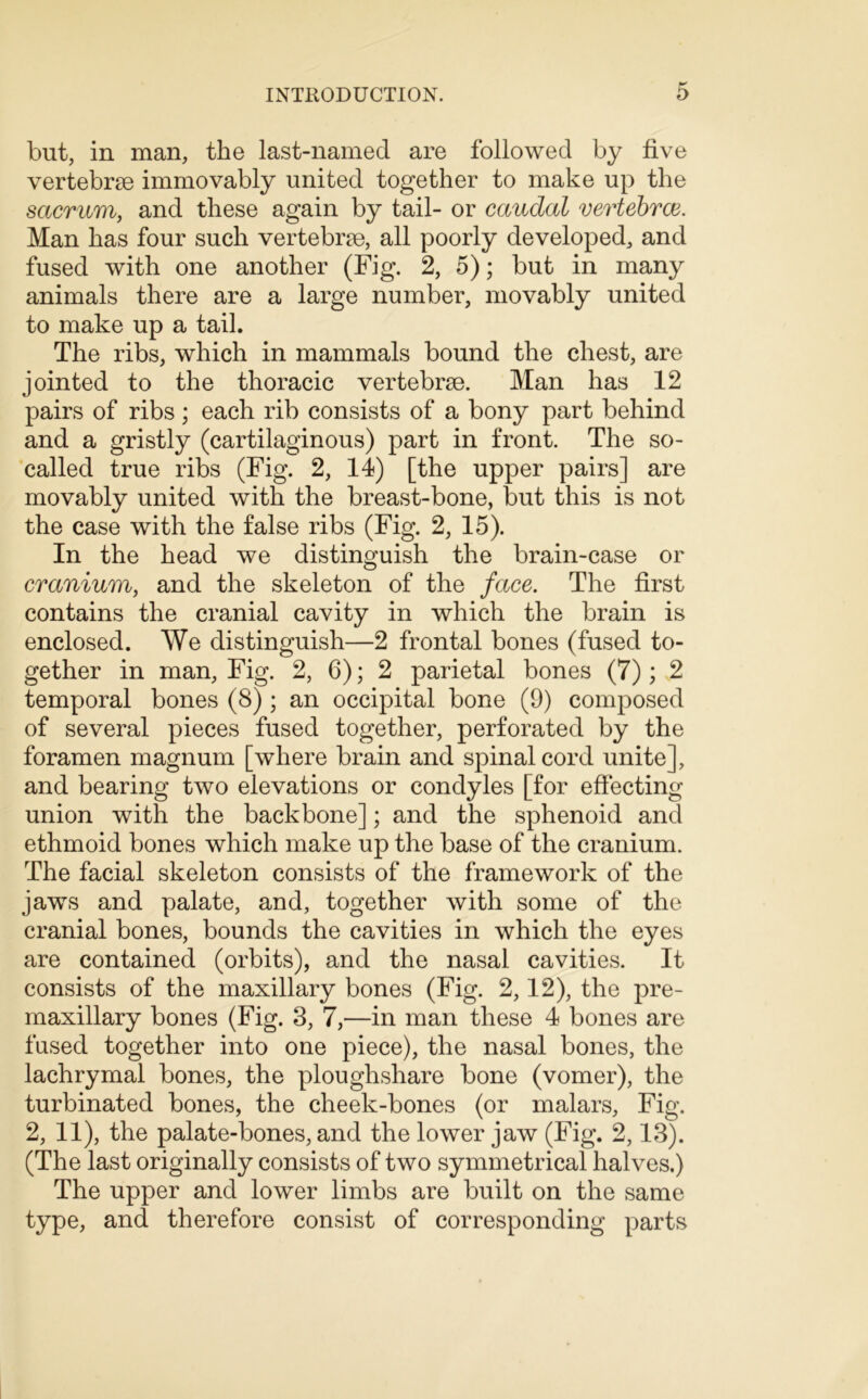 but, in man, the last-named are followed by five vertebrae immovably united together to make up the sacrum, and these again by tail- or caudal vertebrce. Man has four such vertebrae, all poorly developed, and fused with one another (Fig. 2, 5); but in many animals there are a large number, movably united to make up a tail. The ribs, which in mammals bound the chest, are jointed to the thoracic vertebrae. Man has 12 pairs of ribs; each rib consists of a bony part behind and a gristly (cartilaginous) part in front. The so- called true ribs (Fig. 2, 14) [the upper pairs] are movably united with the breast-bone, but this is not the case with the false ribs (Fig. 2, 15). In the head we distinguish the brain-case or cranium, and the skeleton of the face. The first contains the cranial cavity in which the brain is enclosed. We distinguish—2 frontal bones (fused to- gether in man, Fig. 2, 6); 2 parietal bones (7); 2 temporal bones (8) ; an occipital bone (9) composed of several pieces fused together, perforated by the foramen magnum [where brain and spinal cord unite], and bearing two elevations or condyles [for effecting union with the backbone]; and the sphenoid and ethmoid bones which make up the base of the cranium. The facial skeleton consists of the framework of the jaws and palate, and, together with some of the cranial bones, bounds the cavities in which the eyes are contained (orbits), and the nasal cavities. It consists of the maxillary bones (Fig. 2,12), the pre- maxillary bones (Fig. 3, 7,—in man these 4 bones are fused together into one piece), the nasal bones, the lachrymal bones, the ploughshare bone (vomer), the turbinated bones, the cheek-bones (or malars. Fig. 2, 11), the palate-bones, and the lower jaw (Fig. 2,13). (The last originally consists of two symmetrical halves.) The upper and lower limbs are built on the same type, and therefore consist of corresponding parts