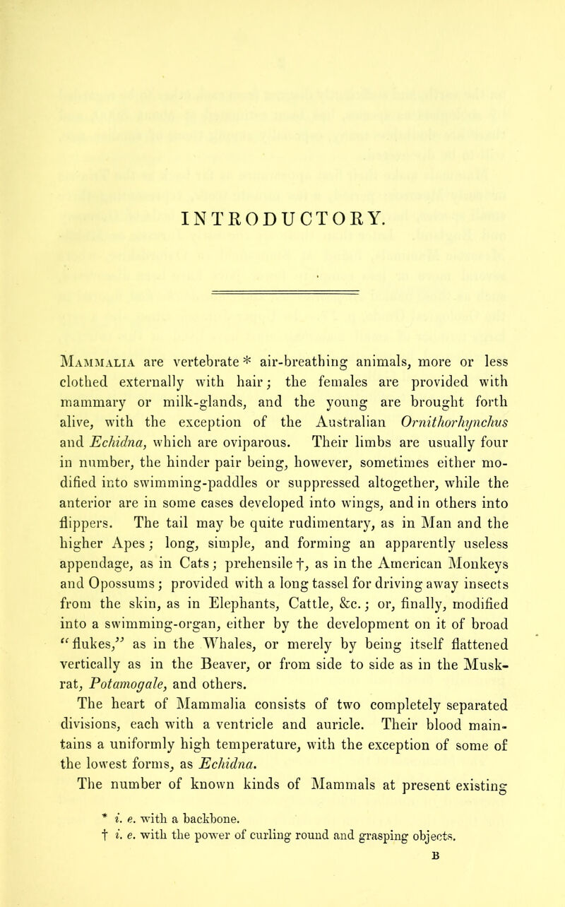 INTRODUCTORY. Mammalia are vertebrate * air-breathing animals, more or less clothed externally with hair; the females are provided with mammary or milk-glands, and the young are brought forth alive, with the exception of the Australian Ornithorhynchus and Echidna, which are oviparous. Their limbs are usually four in number, the hinder pair being, however, sometimes either mo- dified into swimming-paddles or suppressed altogether, while the anterior are in some cases developed into wings, and in others into flippers. The tail may be quite rudimentary, as in Man and the higher Apes; long, simple, and forming an apparently useless appendage, as in Cats; prehensile as in the American Monkeys and Opossums; provided with a long tassel for driving away insects from the skin, as in Elephants, Cattle, &c.; or, finally, modified into a swimming-organ, either by the development on it of broad flukes,^'’ as in the MTales, or merely by being itself flattened vertically as in the Beaver, or from side to side as in the Musk- rat, Potamogale, and others. The heart of Mammalia consists of two completely separated divisions, each with a ventricle and auricle. Their blood main- tains a uniformly high temperature, with the exception of some of the lowest forms, as Echidna. The number of known kinds of Mammals at present existing * i. e. with a backbone. t i. e. with the power of curling round and grasping objects. B