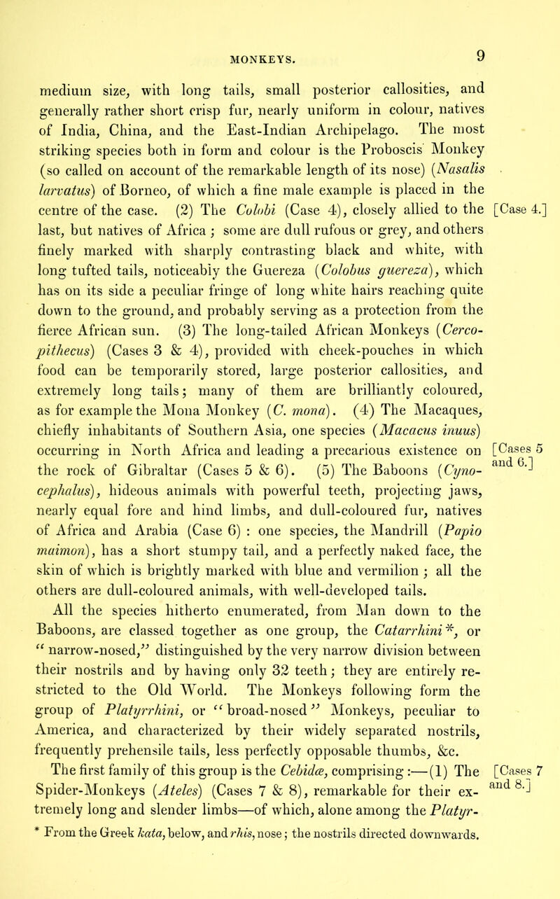 medium size, with long tails, small posterior callosities, and generally rather short crisp fur, nearly uniform in colour, natives of India, China, and the East-Indian Archipelago. The most striking species both in form and colour is the Proboscis Monkey (so called on account of the remarkable length of its nose) [Nasalis larvatiis) of Borneo, of which a fine male example is placed in the centre of the case. (2) The Culohi (Case 4), closely allied to the [Case 4.] last, but natives of Africa ; some are dull rufous or grey, and others finely marked with sharply contrasting black and white, with long tufted tails, noticeably the Guereza [Colohas guereza), which has on its side a peculiar fringe of long white hairs reaching quite down to the ground, and probably serving as a protection from the fierce African sun. (3) The long-tailed African Monkeys (Cerco- pithecus) (Cases 3 & 4), provided with cheek-pouches in which food can be temporarily stored, large posterior callosities, and extremely long tails; many of them are brilliantly coloured, as for example the Mona Monkey [C. mono). (4) The Macaques, chiefly inhabitants of Southern Asia, one species {Macacus inuus) occurring in North Africa and leading a precarious existence on [Cases 5 the rock of Gibraltar (Cases 5 & 6). (5) The Baboons [Cyno- cephalus), hideous animals with powerful teeth, projecting jaws, nearly equal fore and hind limbs, and dull-coloured fur, natives of Africa and Arabia (Case 6) : one species, the Mandrill {Papio maimon), has a short stumpy tail, and a perfectly naked face, the skin of which is brightly marked with blue and vermilion ; all the others are dull-coloured animals, with well-developed tails. All the species hitherto enumerated, from Man down to the Baboons, are classed together as one group, the Catarrhini^, or narrow-nosed,^^ distinguished by the very narrow division between their nostrils and by having only 32 teeth; they are entirely re- stricted to the Old World. The Monkeys following form the group of Platyrrhini, or “ broad-nosed Monkeys, peculiar to America, and characterized by their widely separated nostrils, frequently prehensile tails, less perfectly opposable thumbs, &c. The first family of this group is the CeUdce, comprising :—(1) The [Cases 7 Spider-Monkeys {Ateles) (Cases 7 & 8), remarkable for their ex- tremely long and slender limbs—of which, alone among the Platyr- * From the Greek hata, below, and r/ns, nose; the nostrils directed downwards.